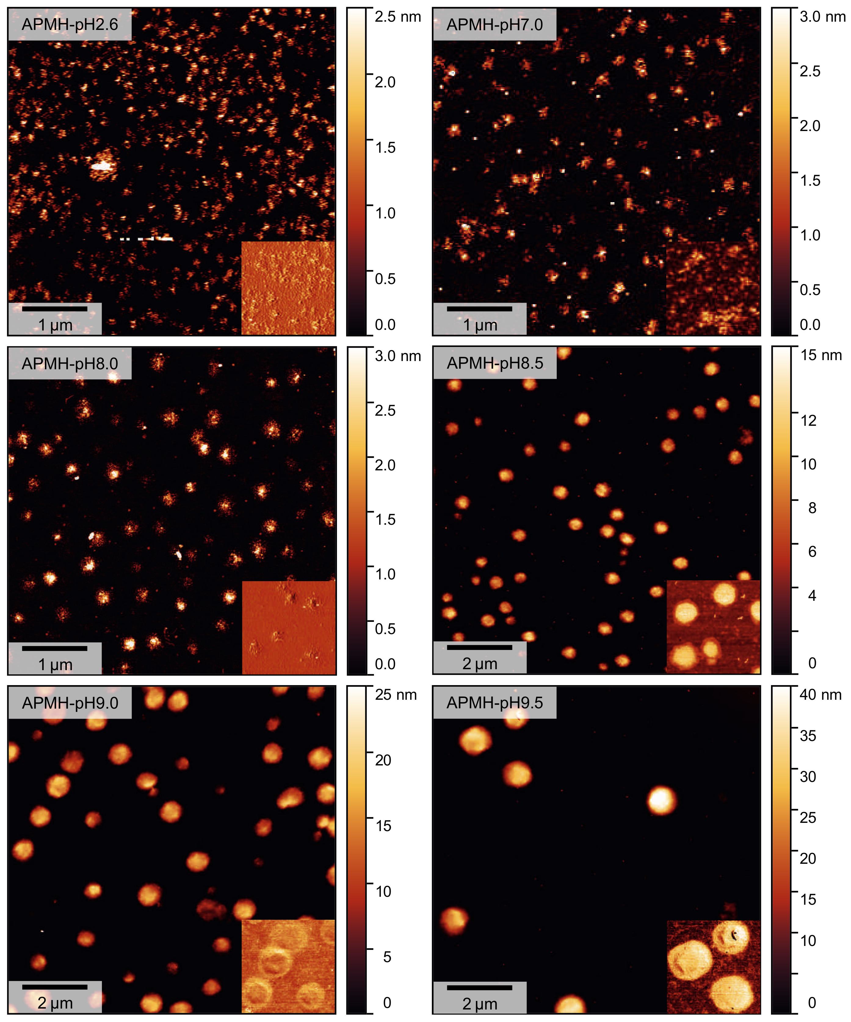 Polymers 13 00827 g009