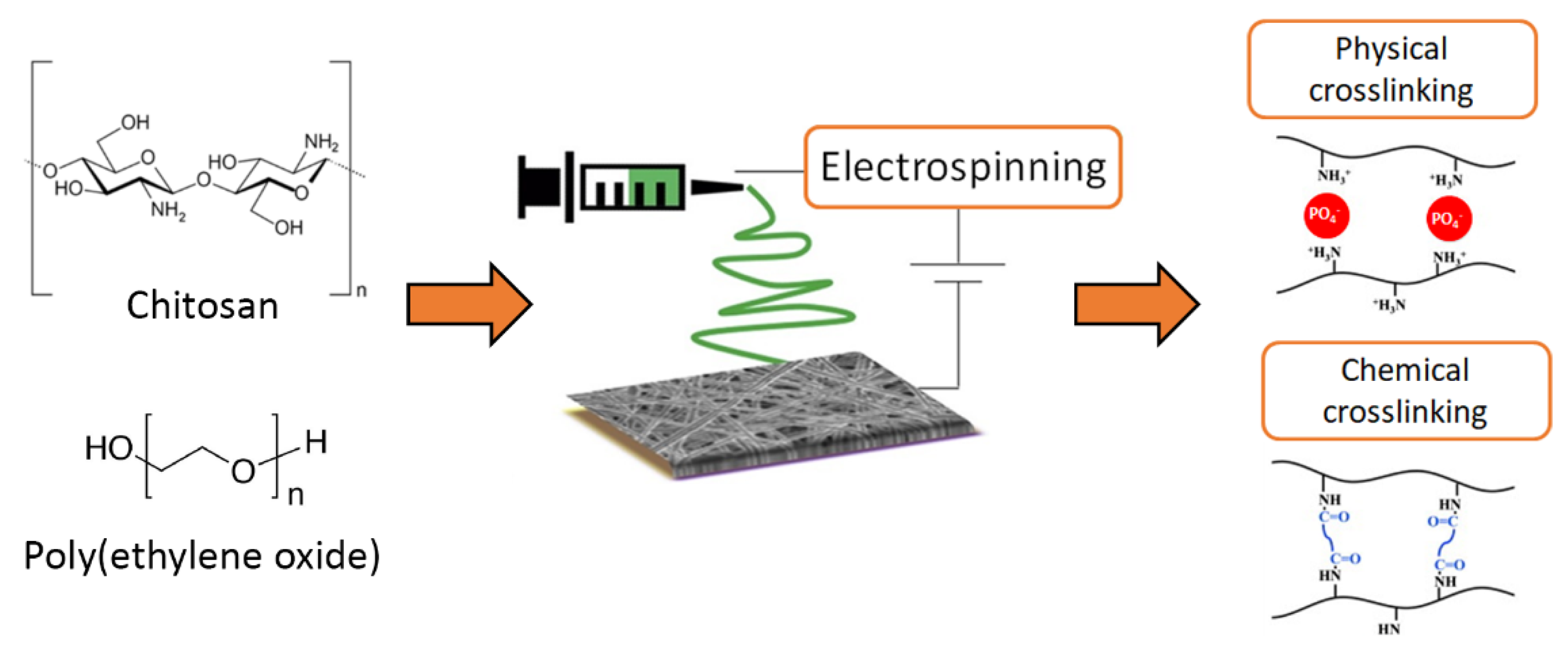 Polymers 13 00831 g002