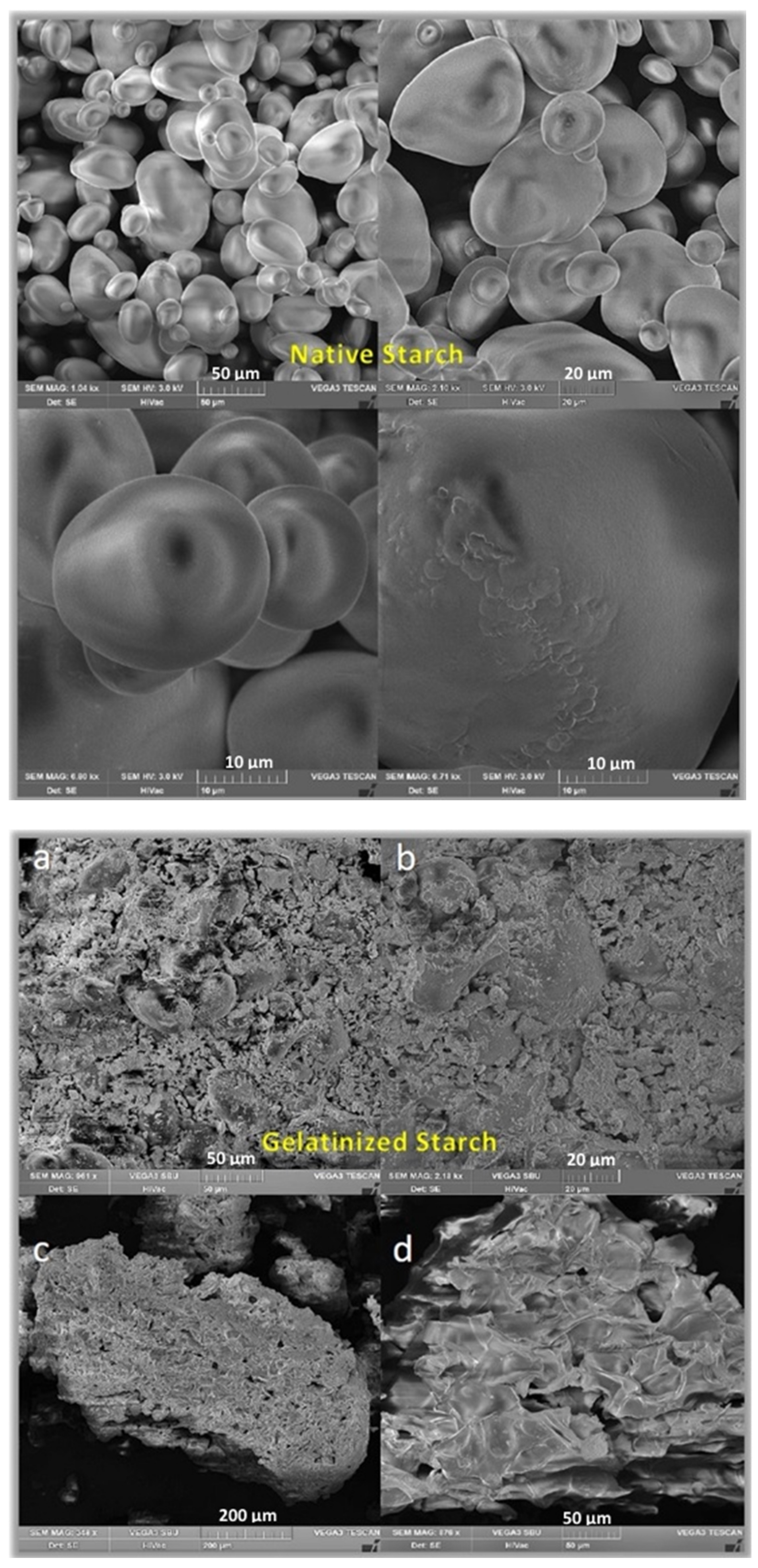 Polymers 13 00832 g003