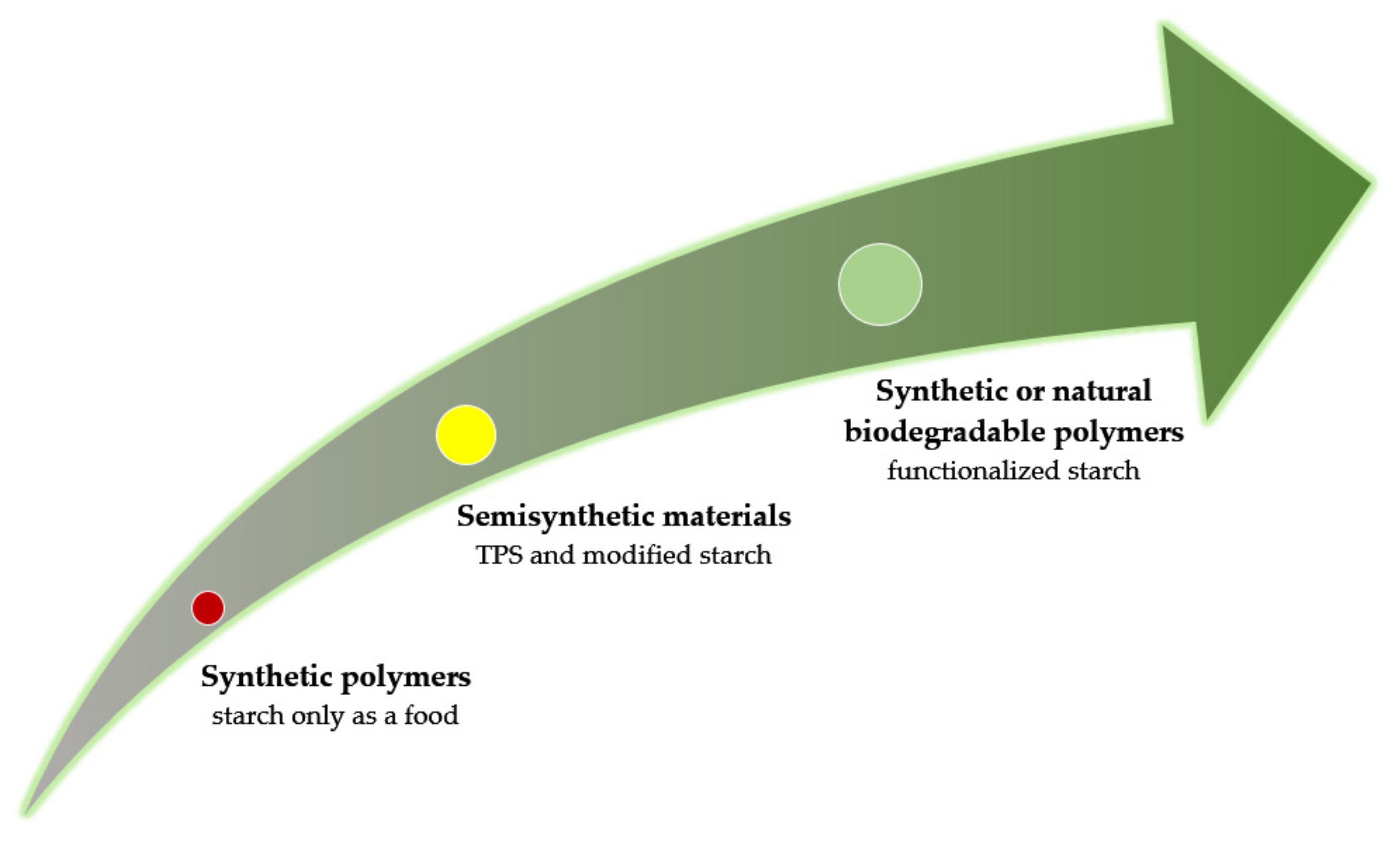 Polymers 13 00832 g005