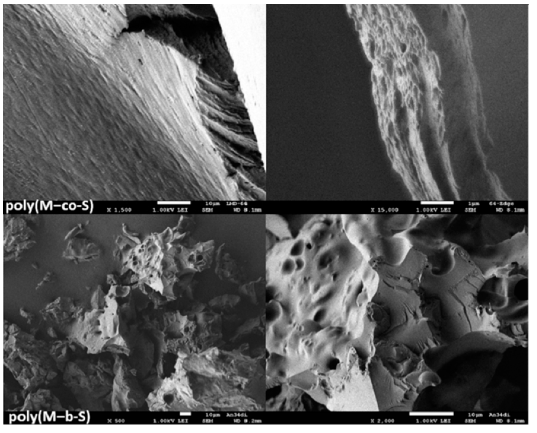 Polymers 13 00838 g006 Polymers 13 00838 g006
