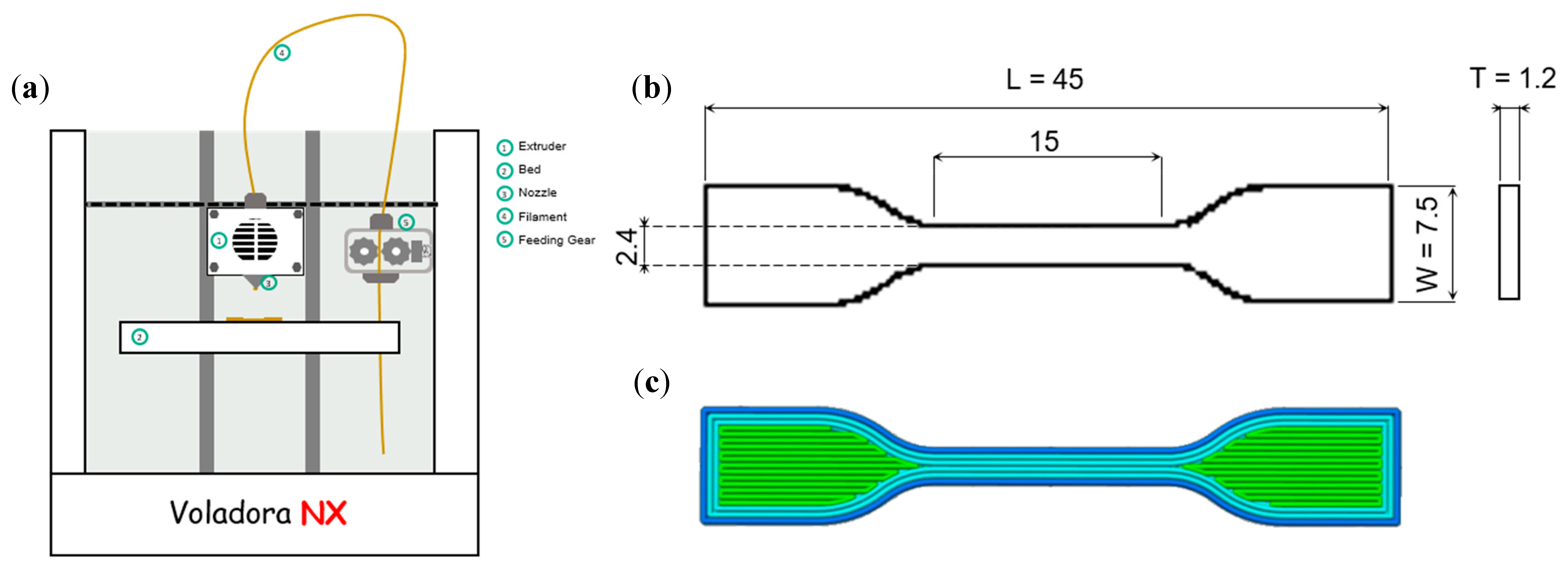 Polymers 13 00839 g001