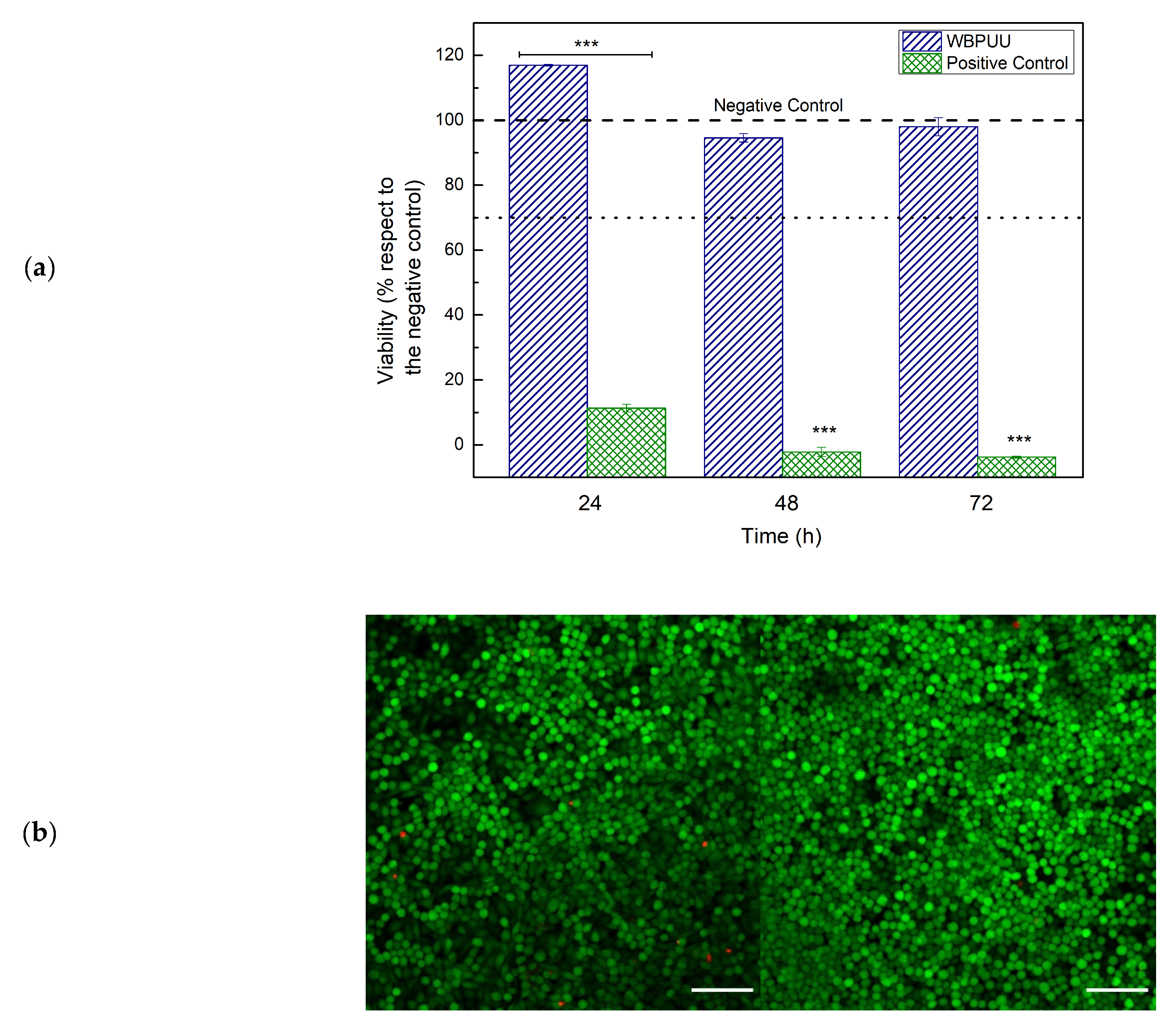 Polymers 13 00839 g004