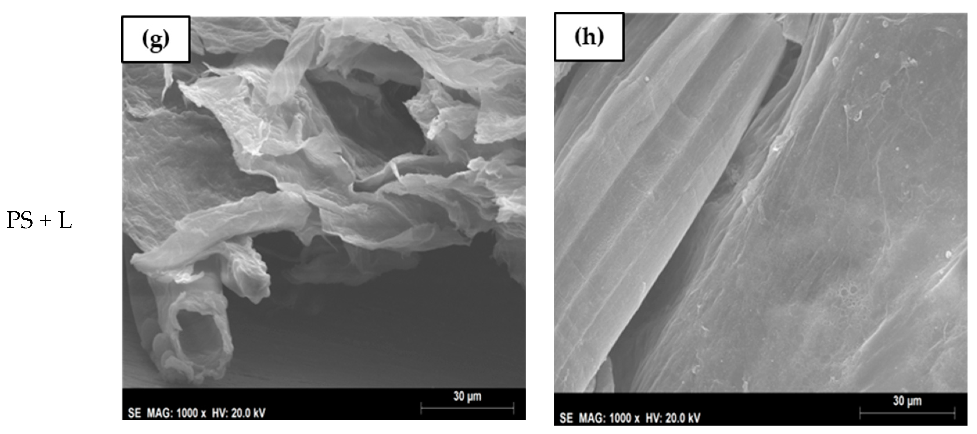 Polymers 13 00843 g002b