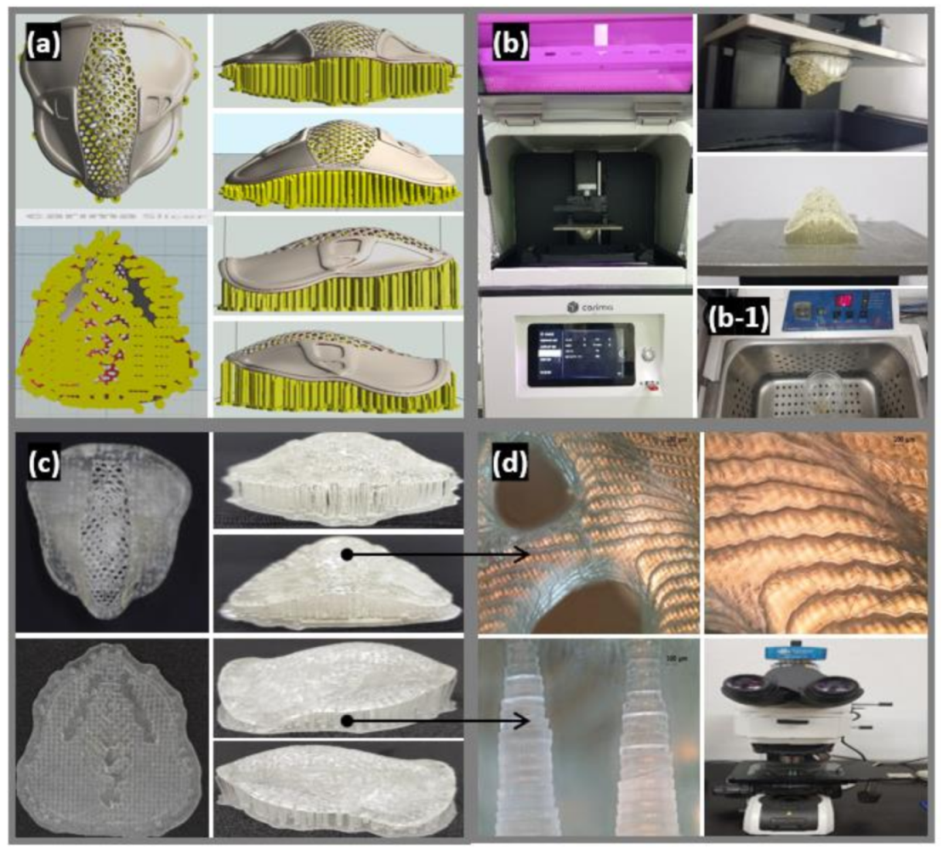 Polymers 13 00844 g004