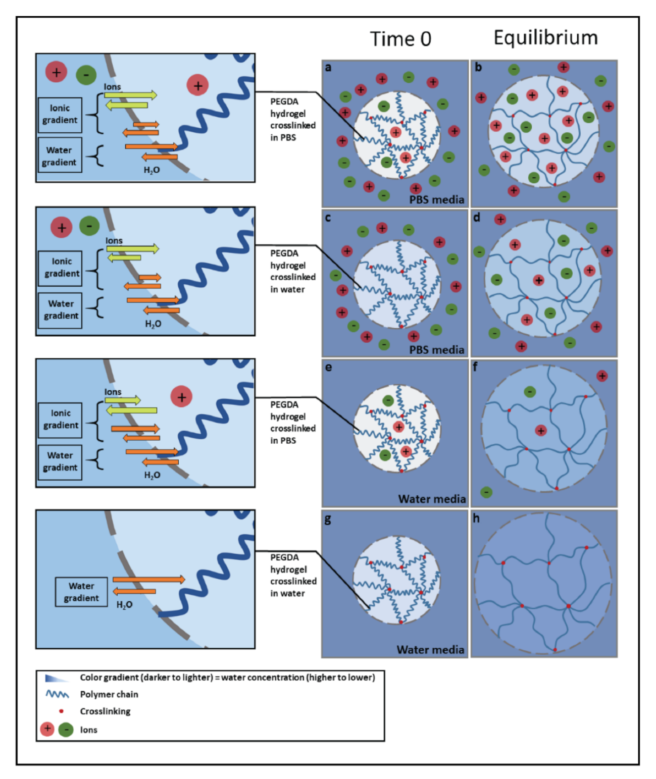 Polymers 13 00845 g003