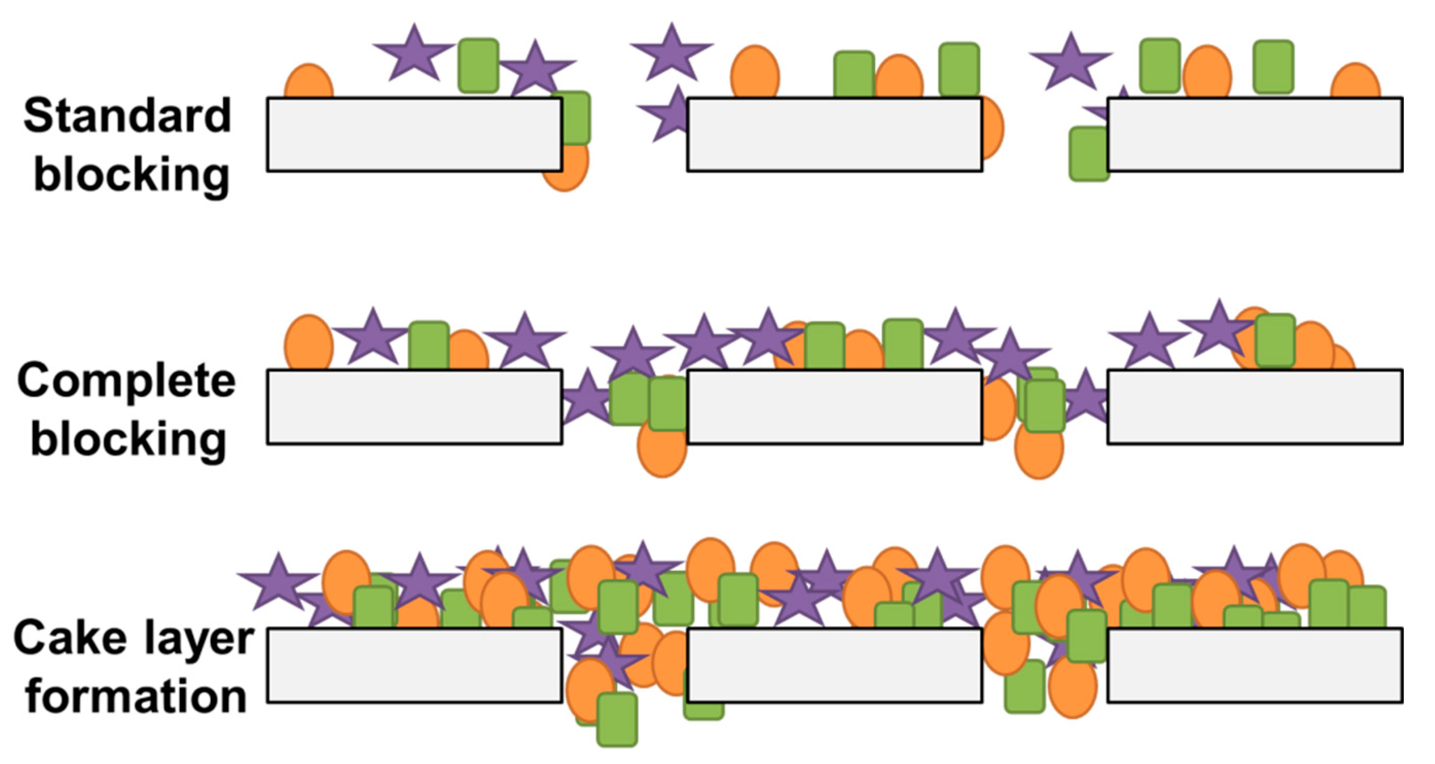 Polymers 13 00846 g002