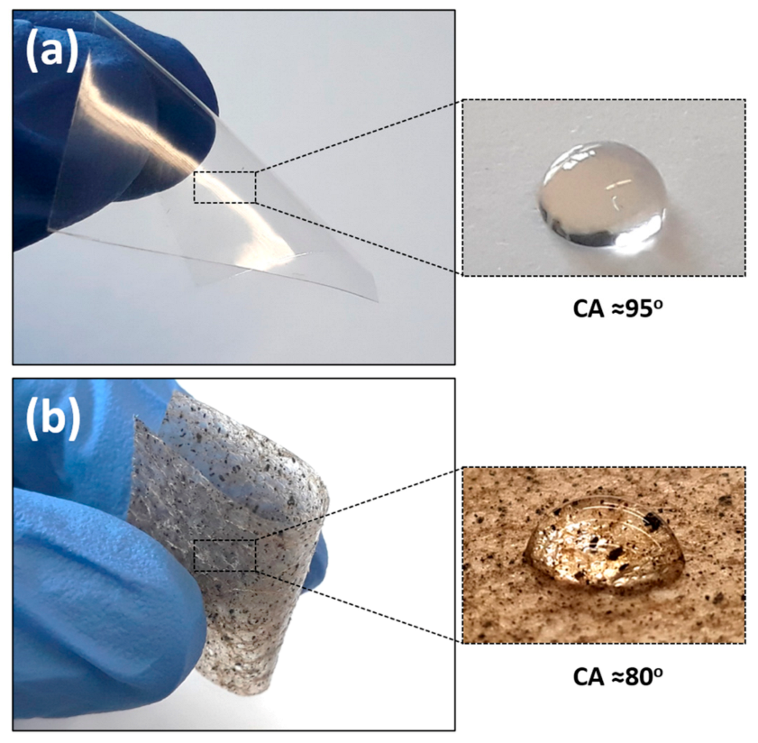 Polymers 13 00847 g002