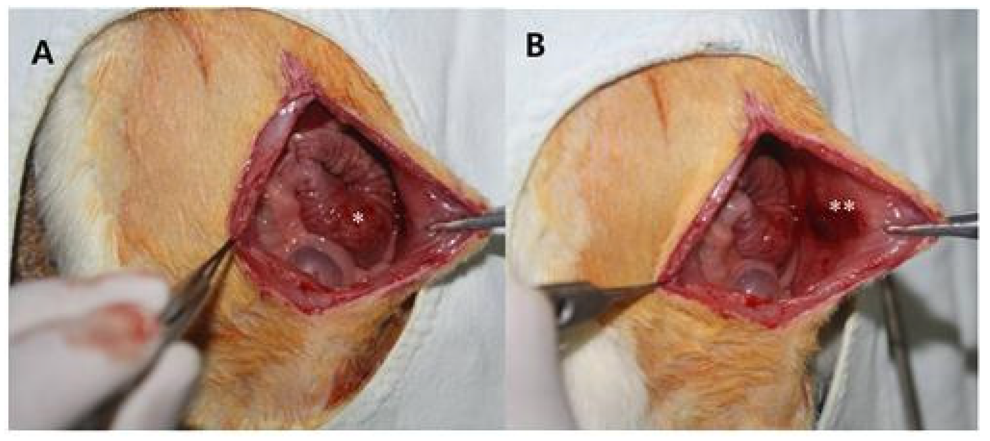 Polymers 13 00849 g001 Polymers 13 00849 g001