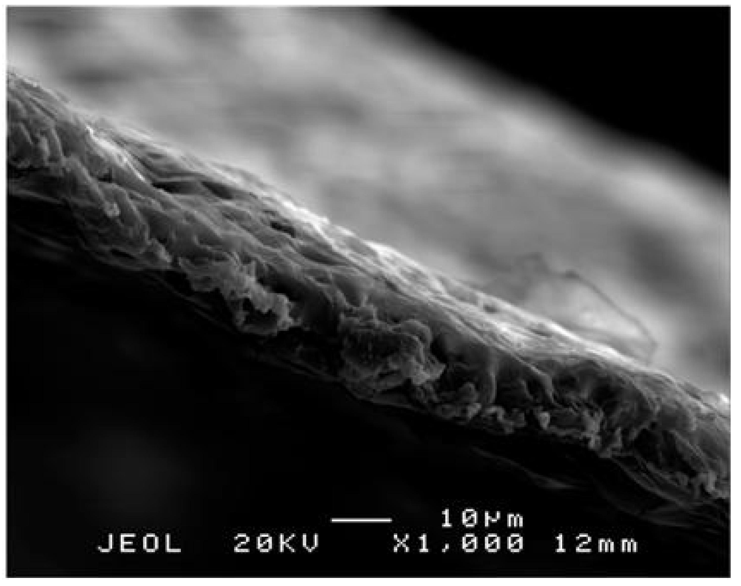 Polymers 13 00849 g003 Polymers 13 00849 g003