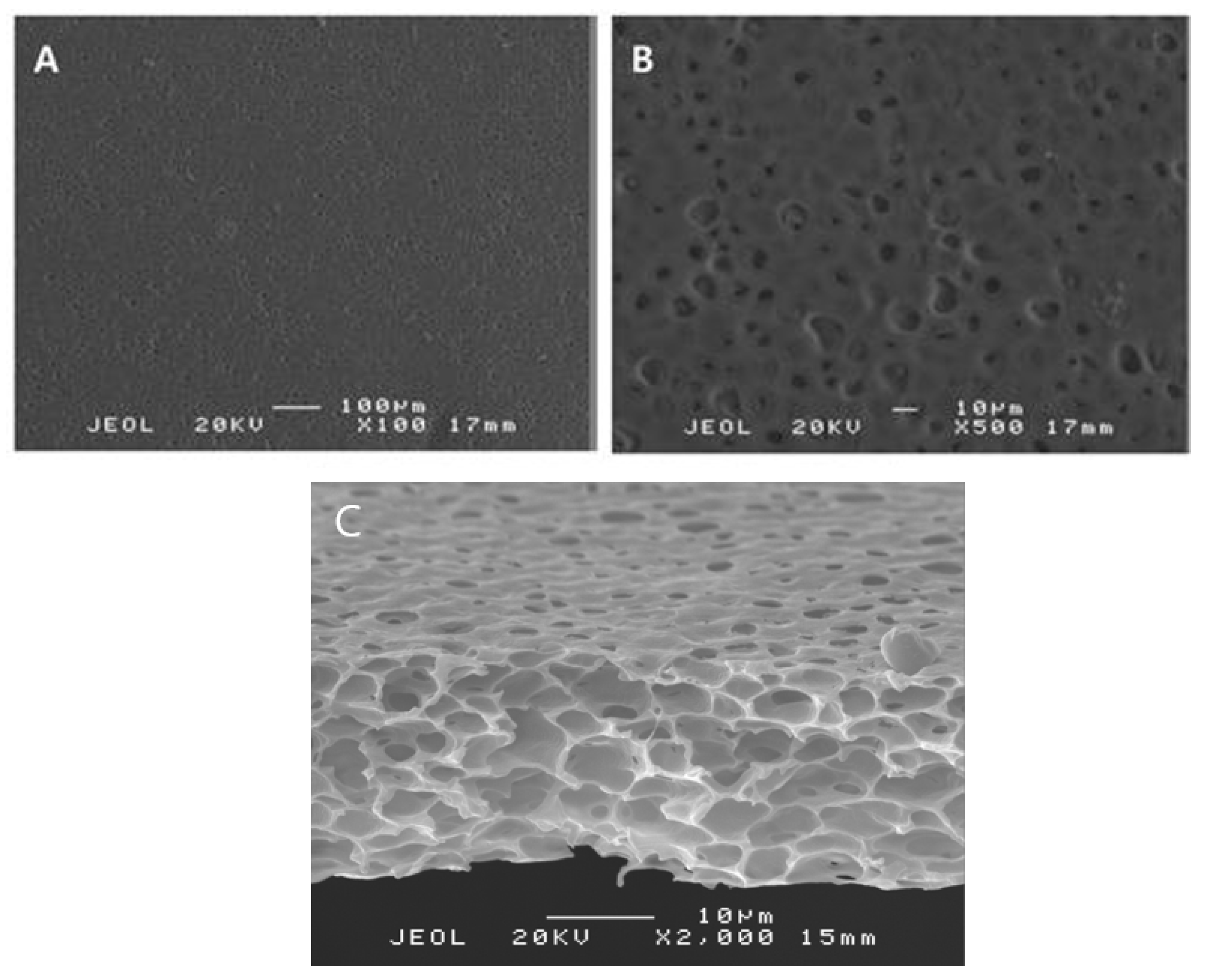 Polymers 13 00849 g004 Polymers 13 00849 g004