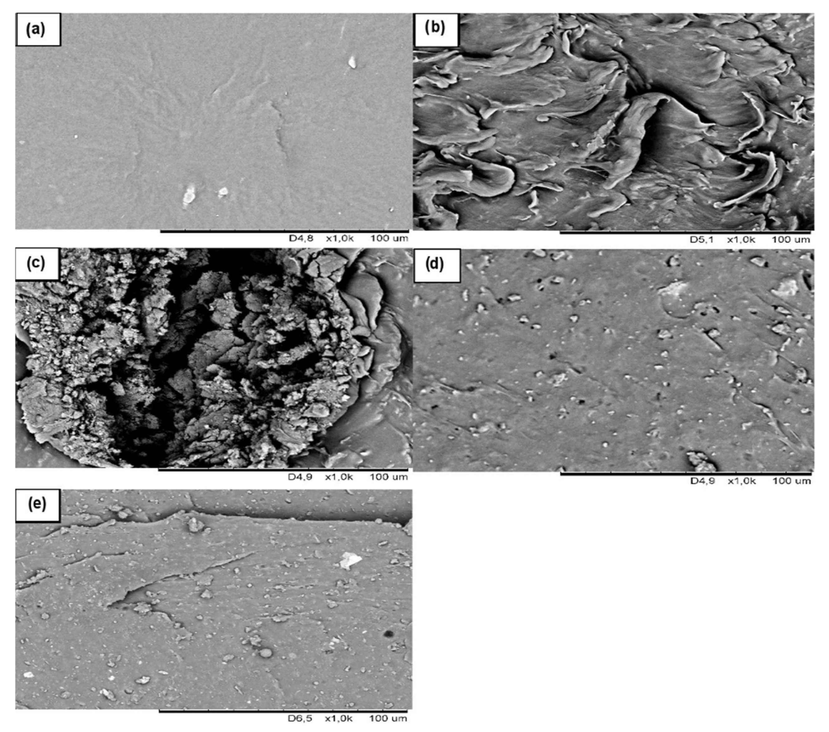 Polymers 13 00853 g003