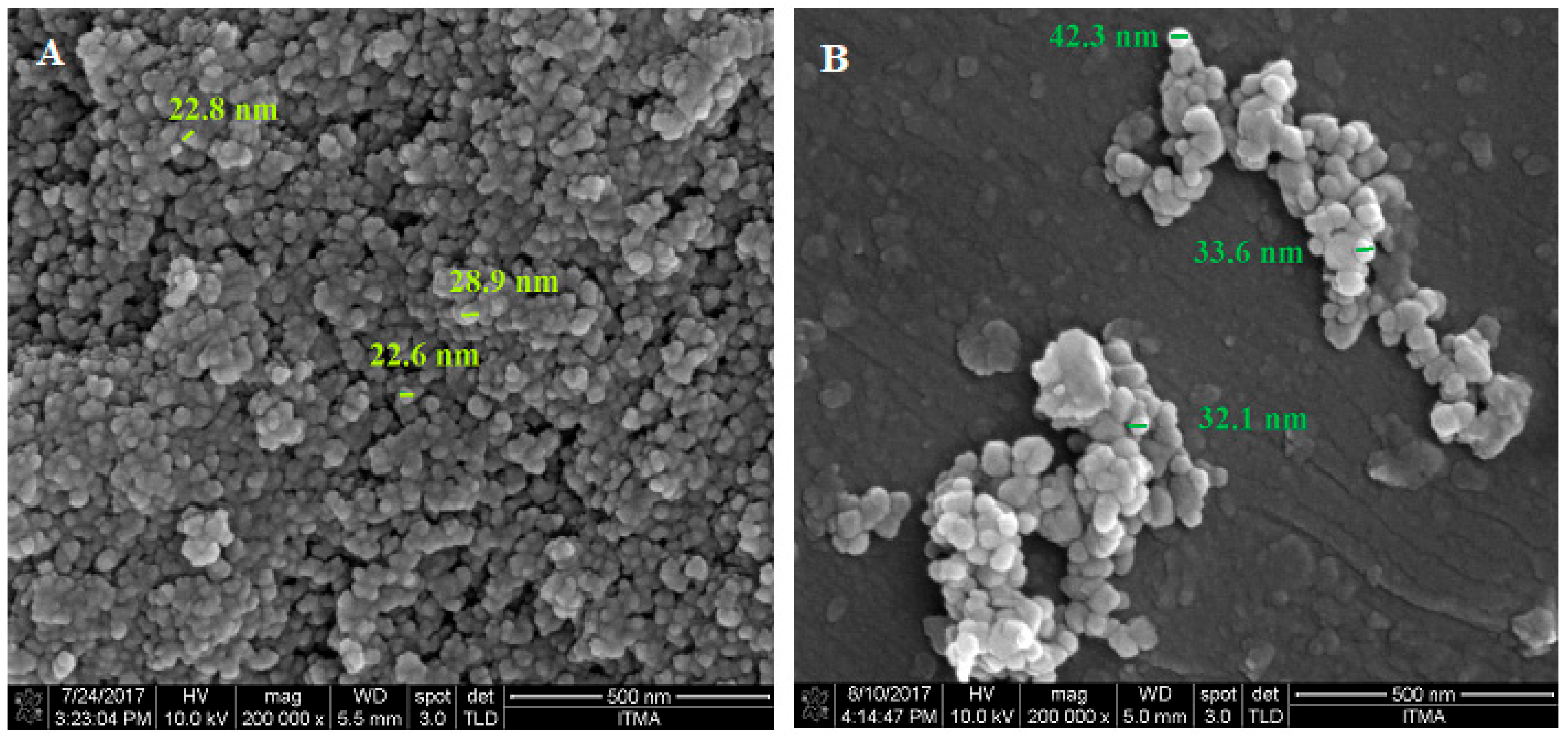Polymers 13 00855 g005a