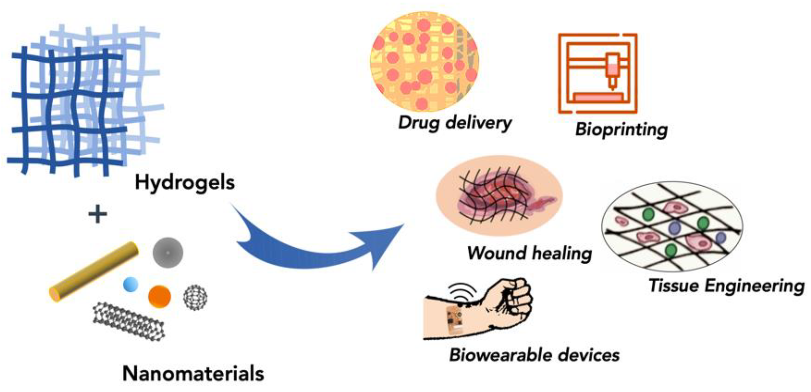 Polymers 13 00856 g001
