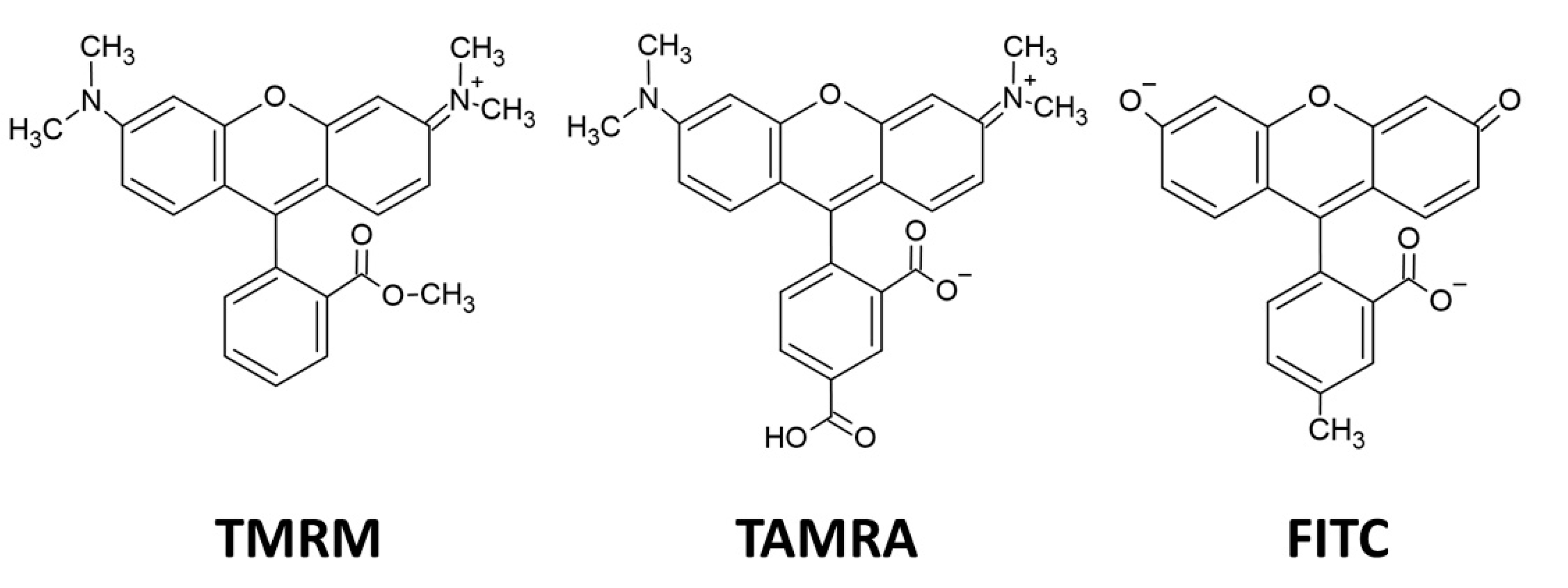 Polymers 13 00858 g001