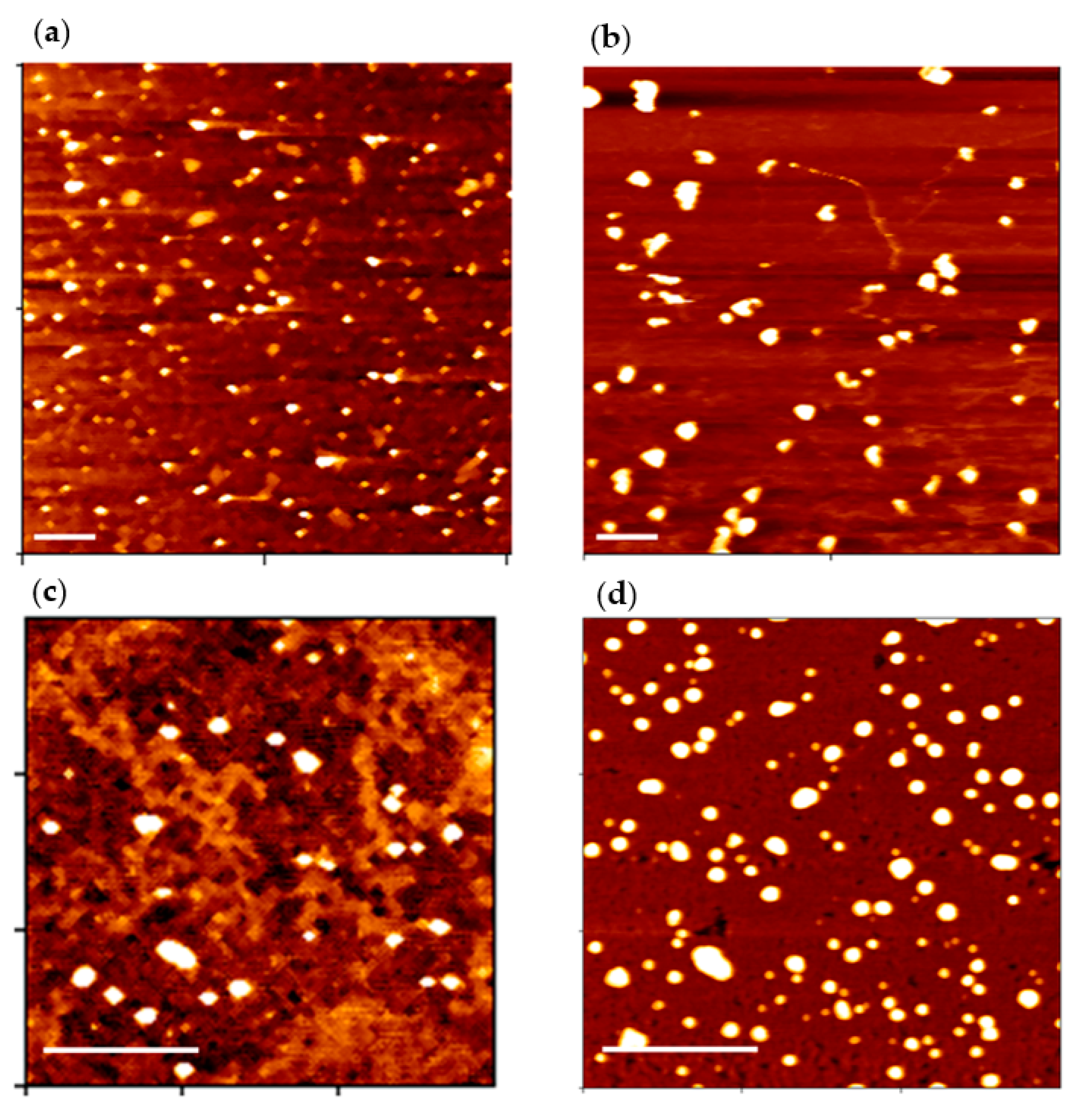 Polymers 13 00858 g005