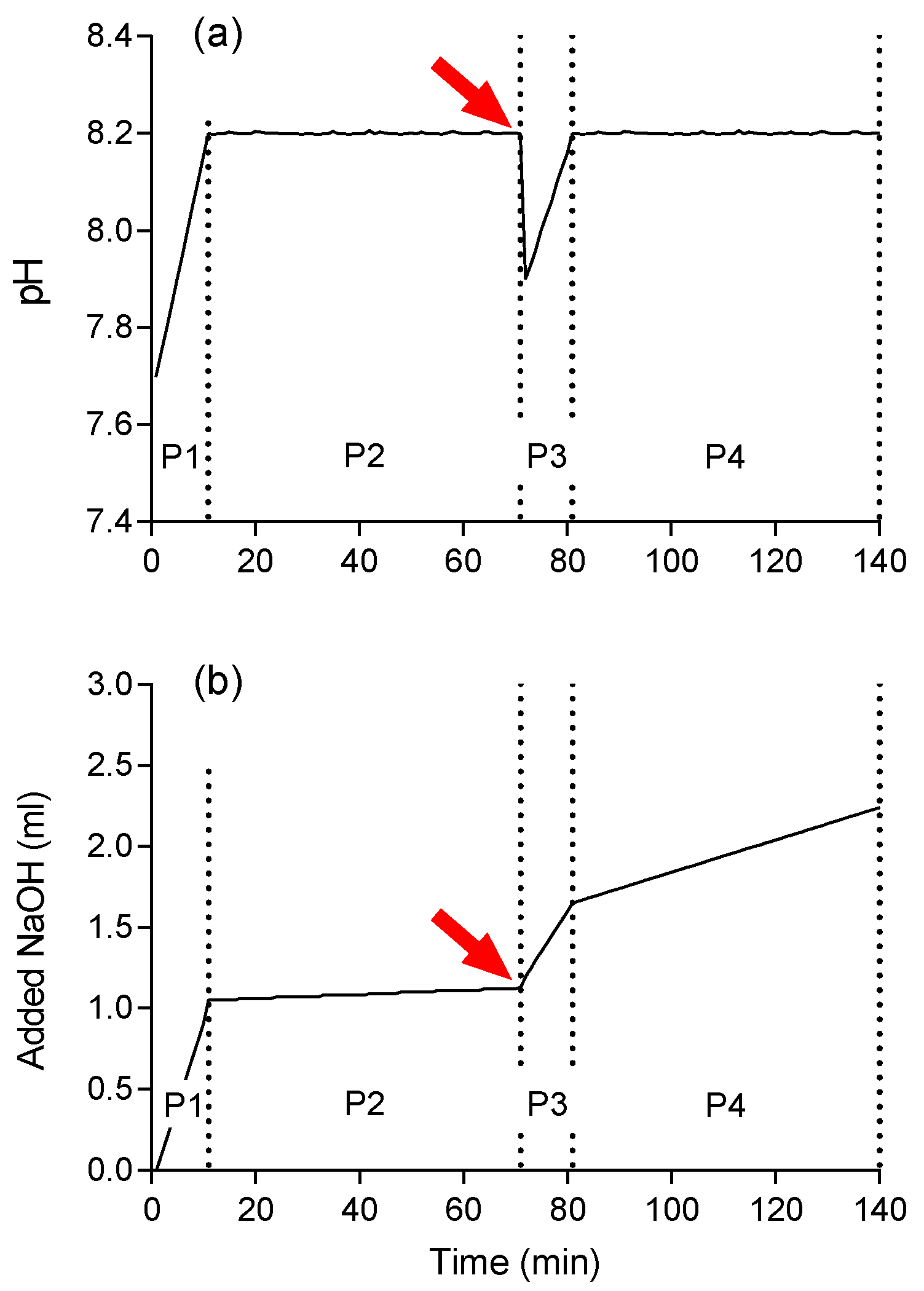 Polymers 13 00860 g001
