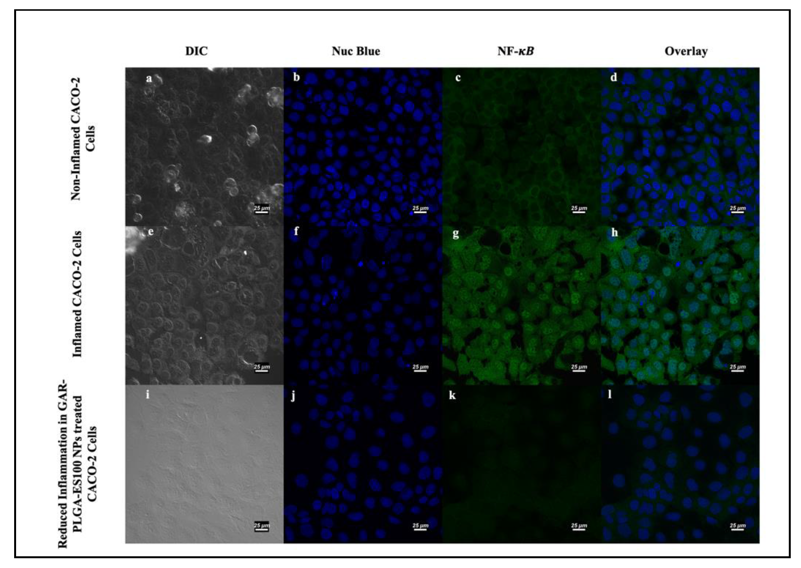 Polymers 13 00862 g008