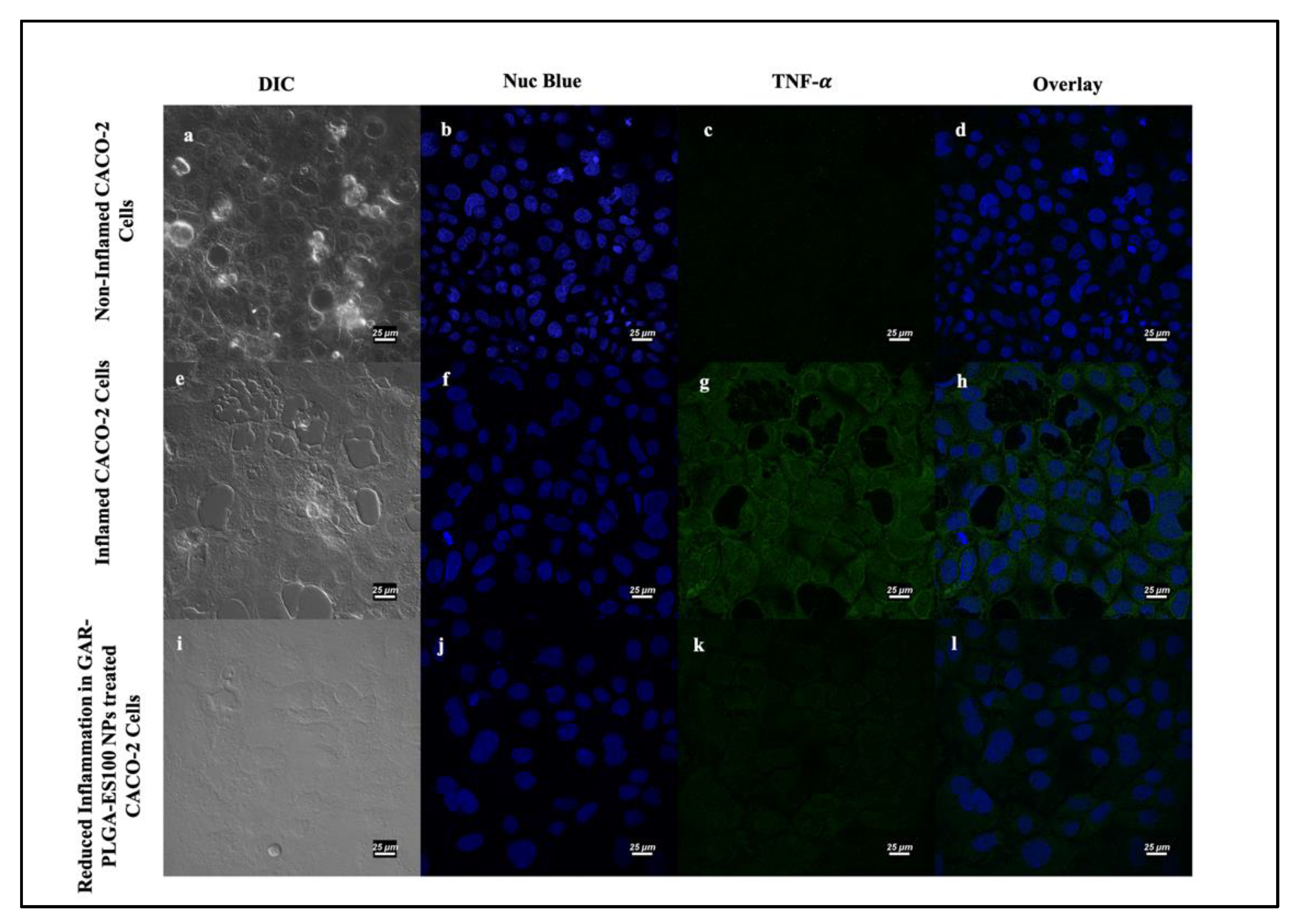 Polymers 13 00862 g009