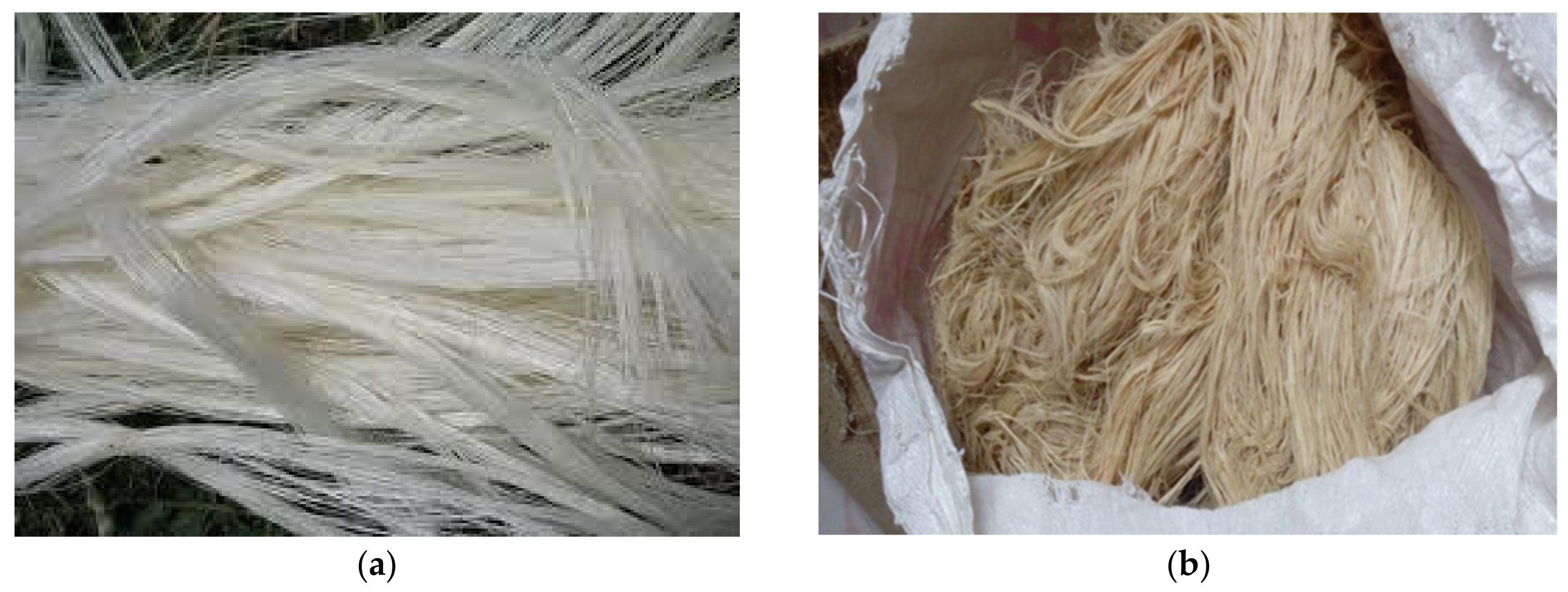 Polymers 13 00864 g001 Polymers 13 00864 g001