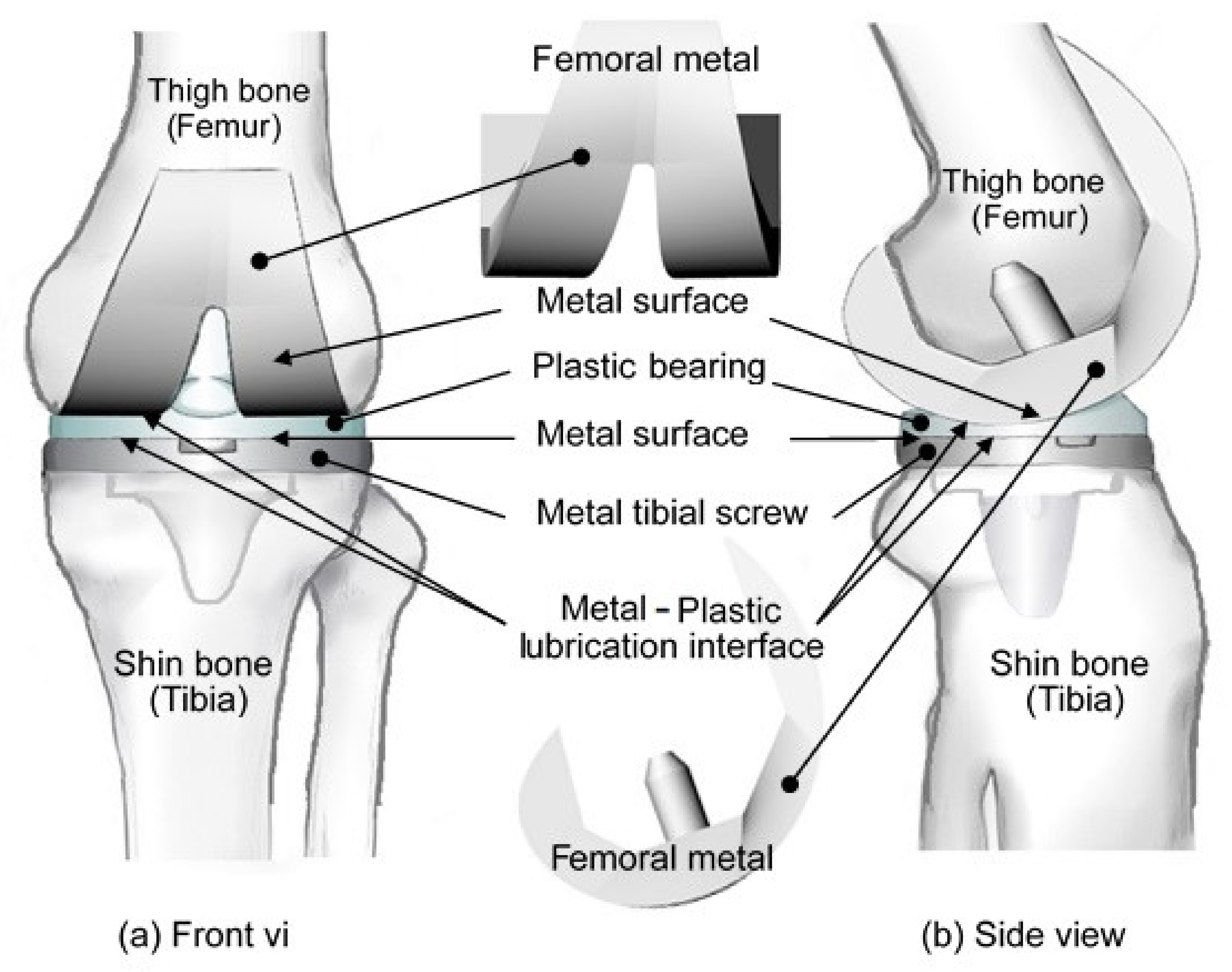 Polymers 13 00865 g001
