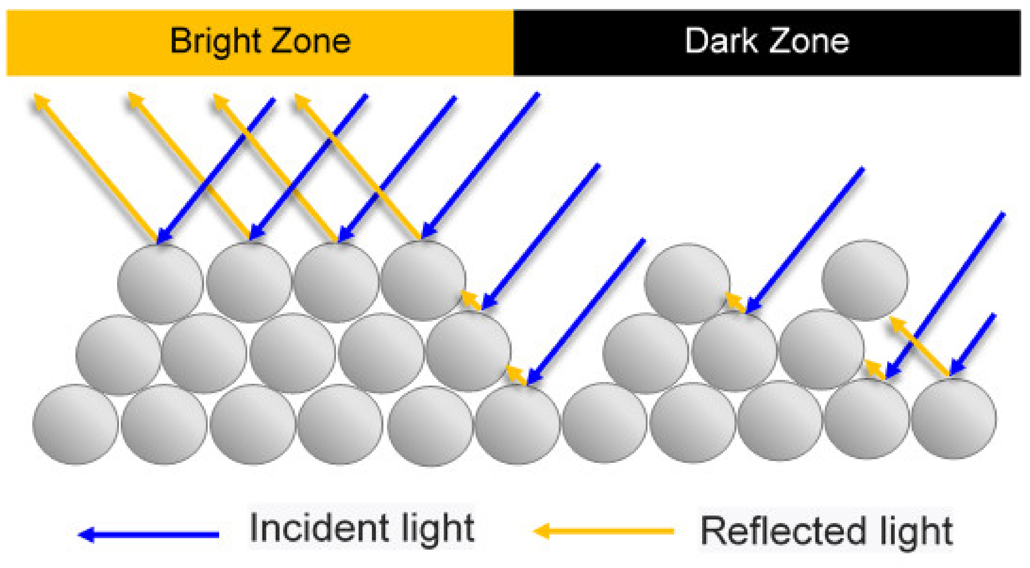 Polymers 13 00865 g003
