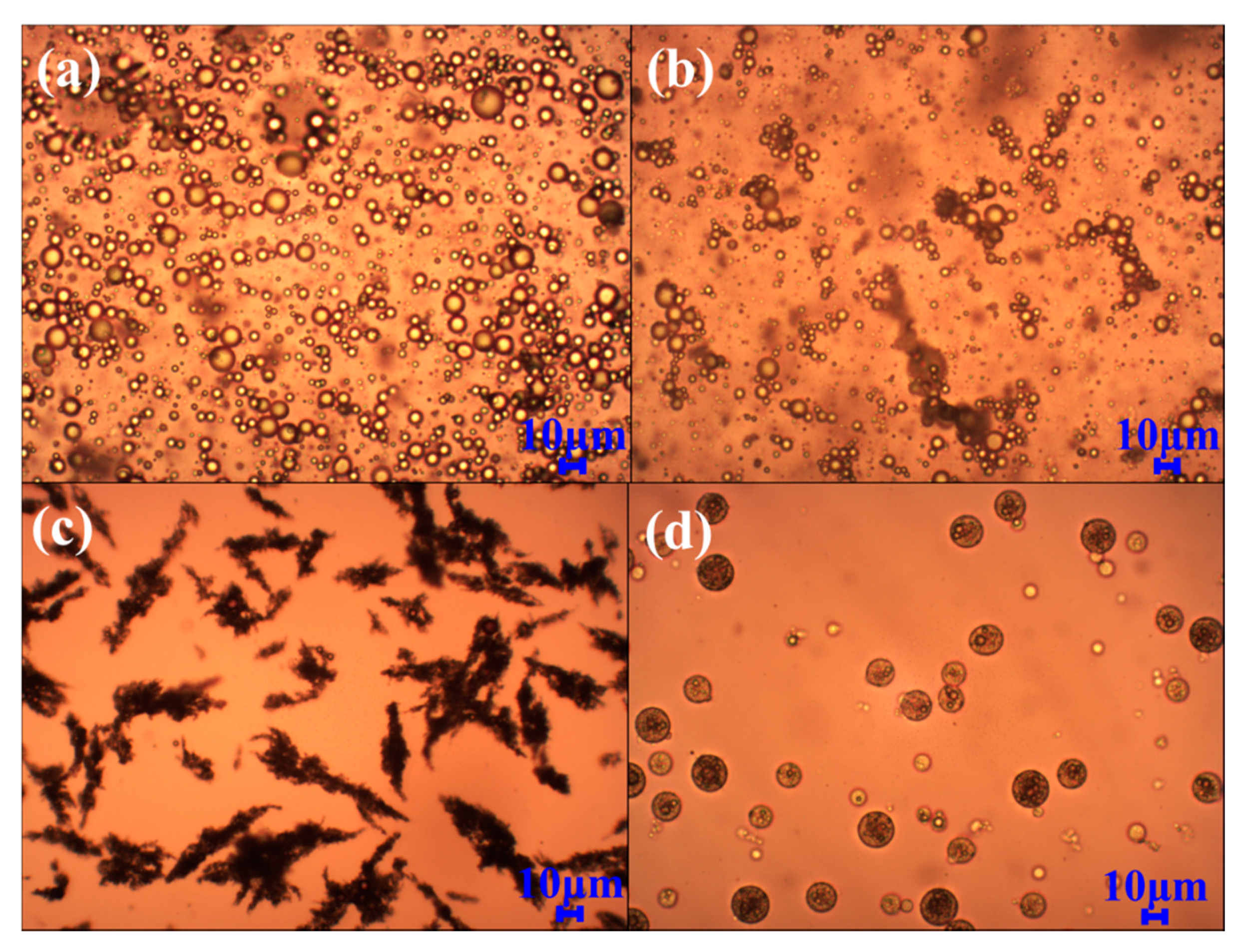 Polymers 13 00866 g003
