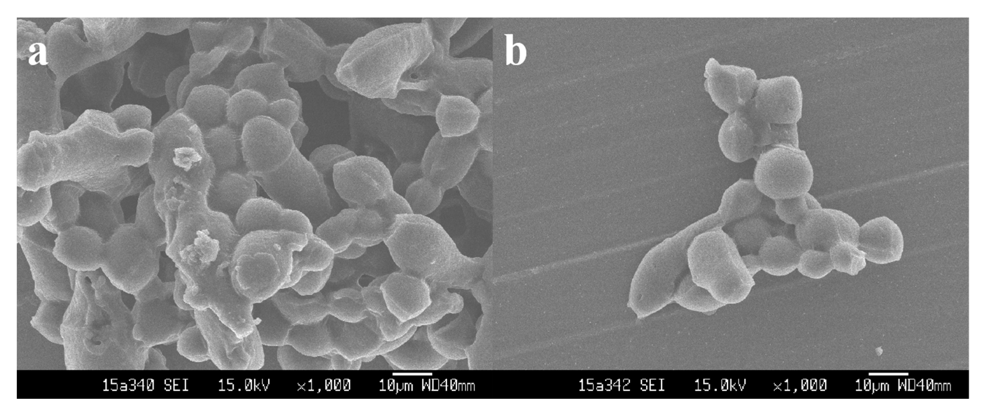 Polymers 13 00866 g007