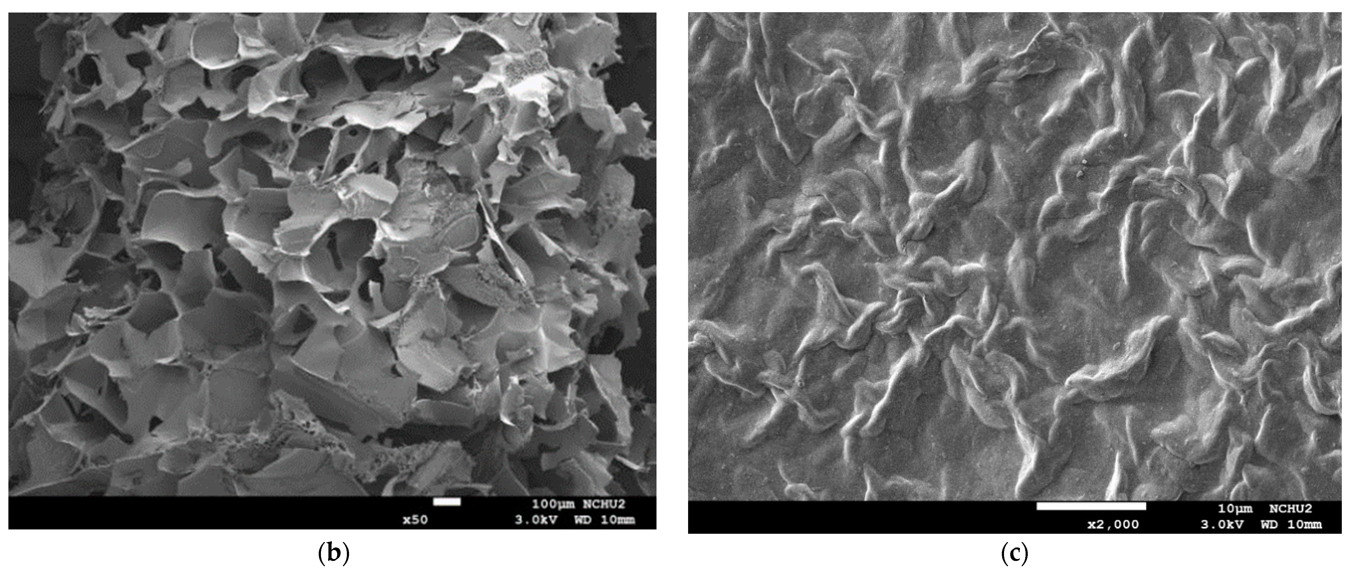 Polymers 13 00873 g009c