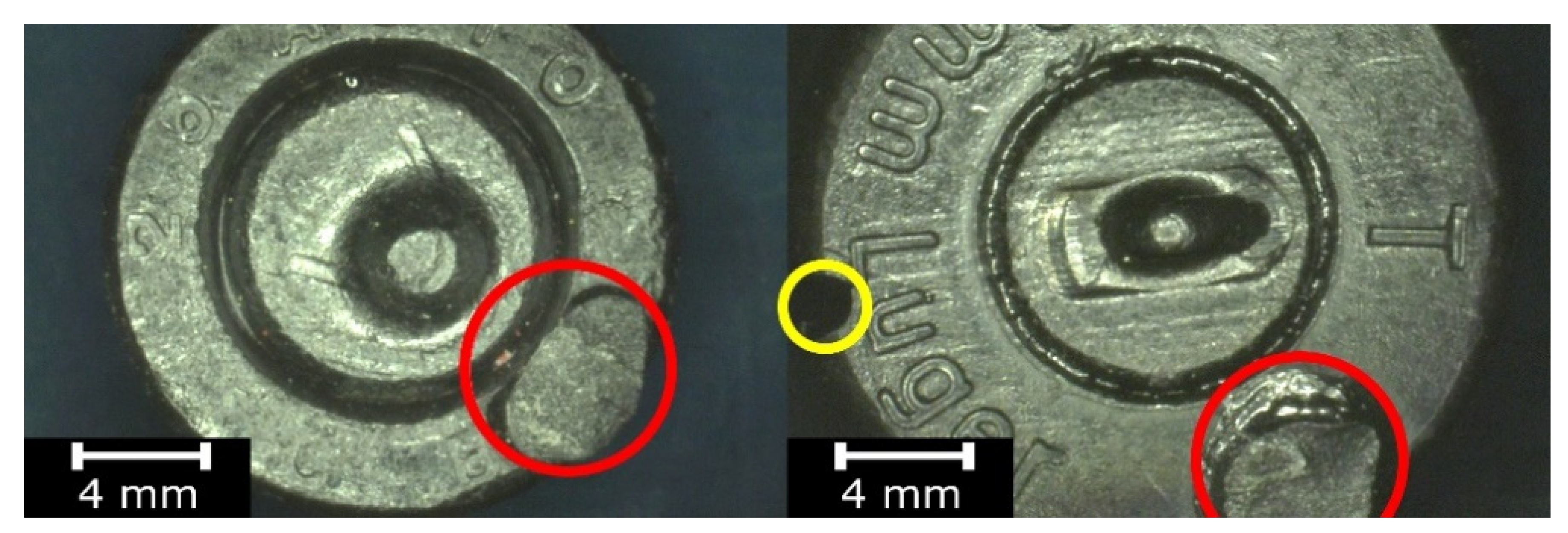 Polymers 13 00874 g002