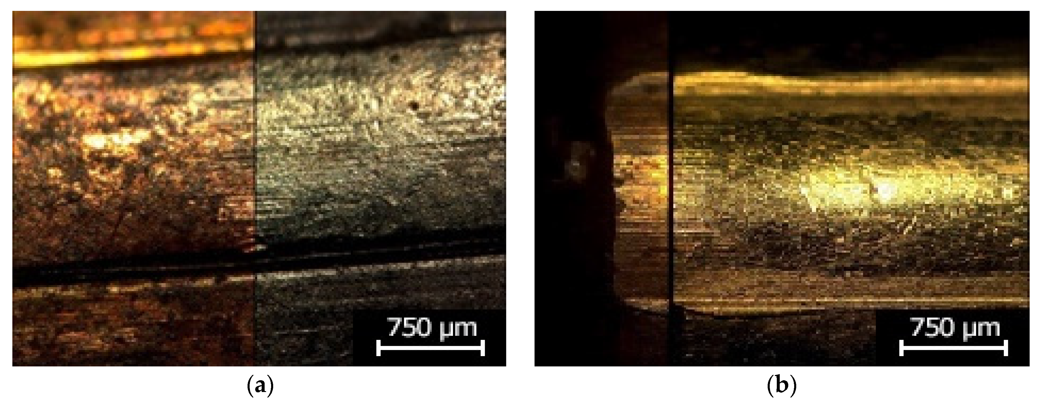Polymers 13 00874 g009
