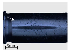 Polymers 13 00874 i002