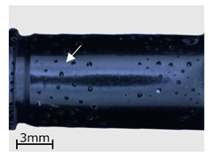 Polymers 13 00874 i004