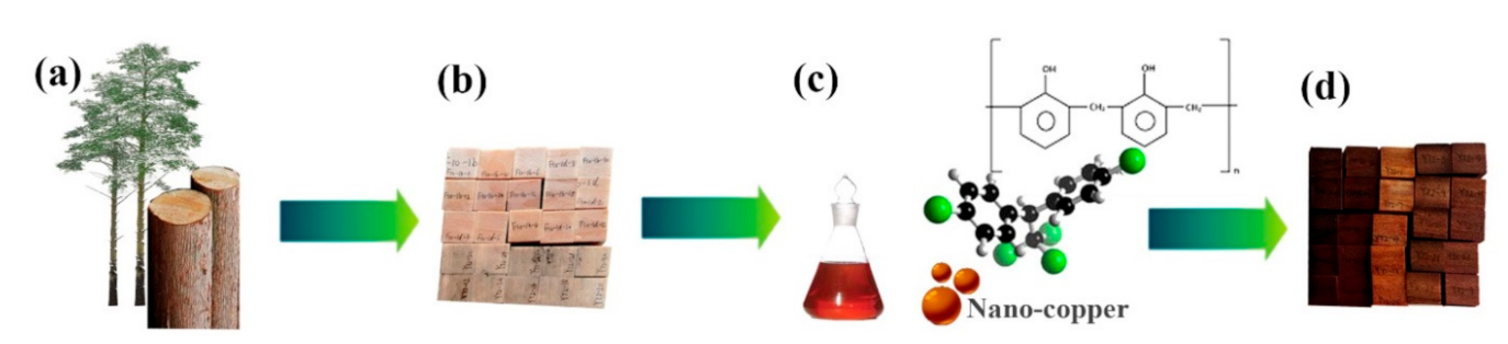 Polymers 13 00876 g001
