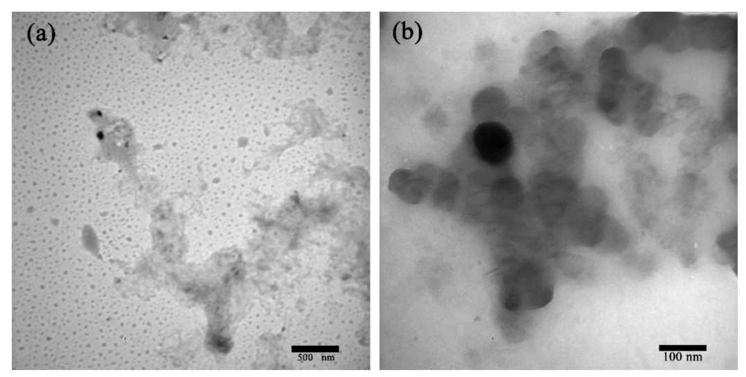 Polymers 13 00876 g003