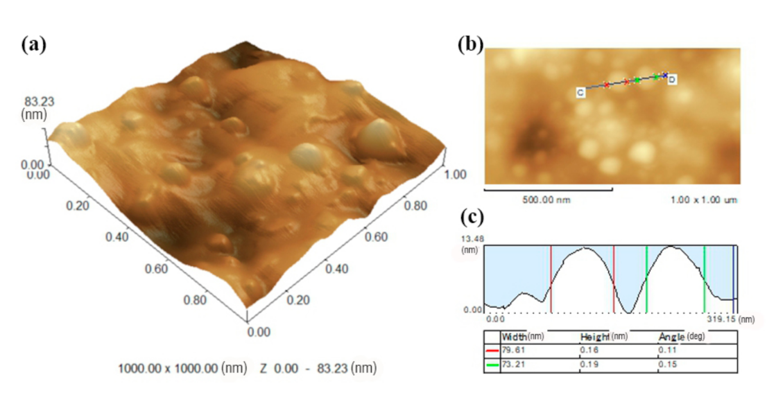 Polymers 13 00876 g004