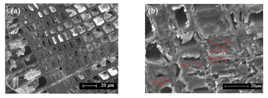 Polymers 13 00876 g005