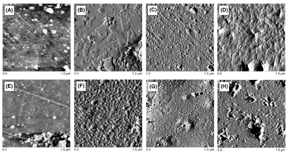 Polymers 13 00878 g014