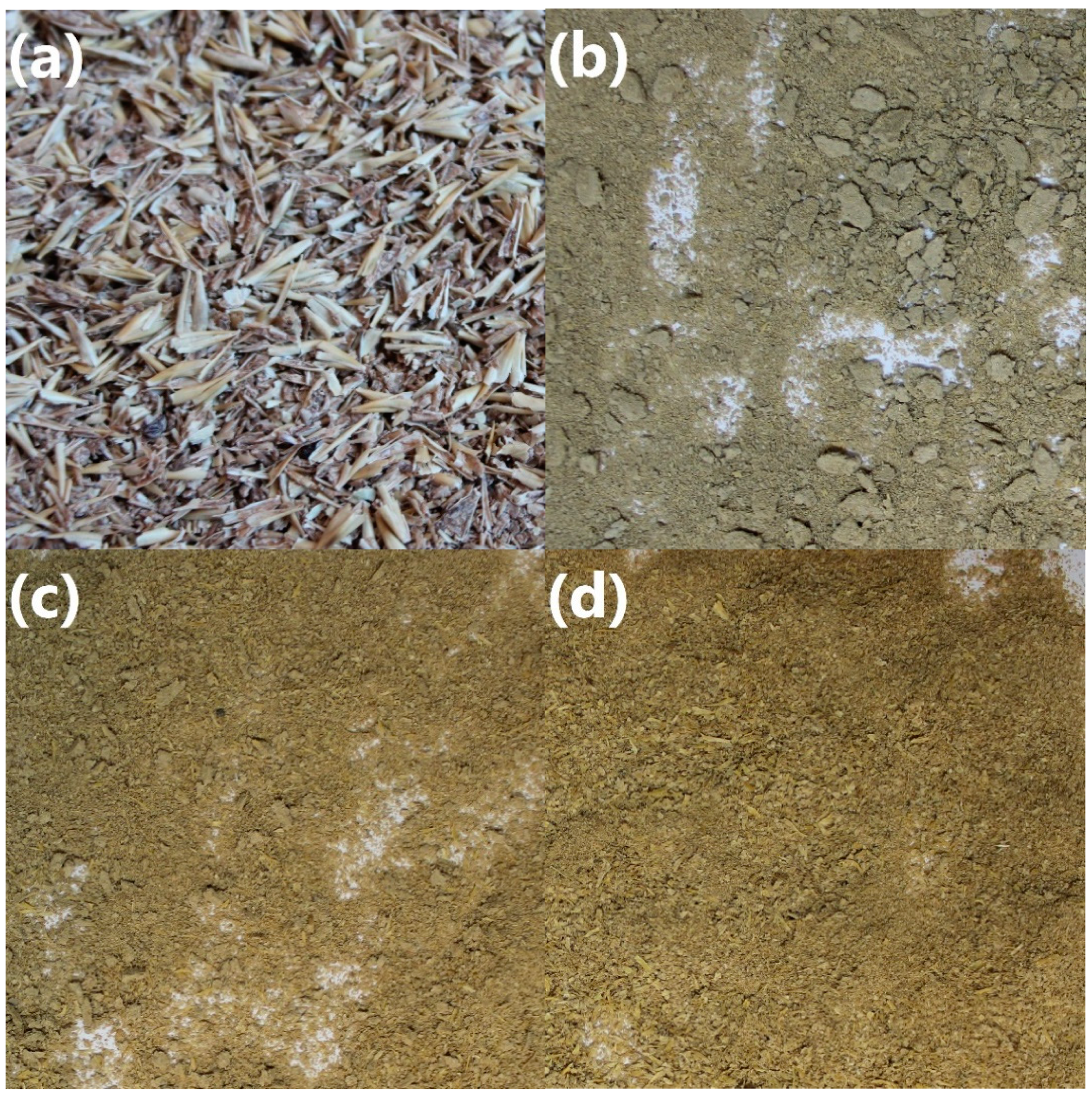 Polymers 13 00879 g002