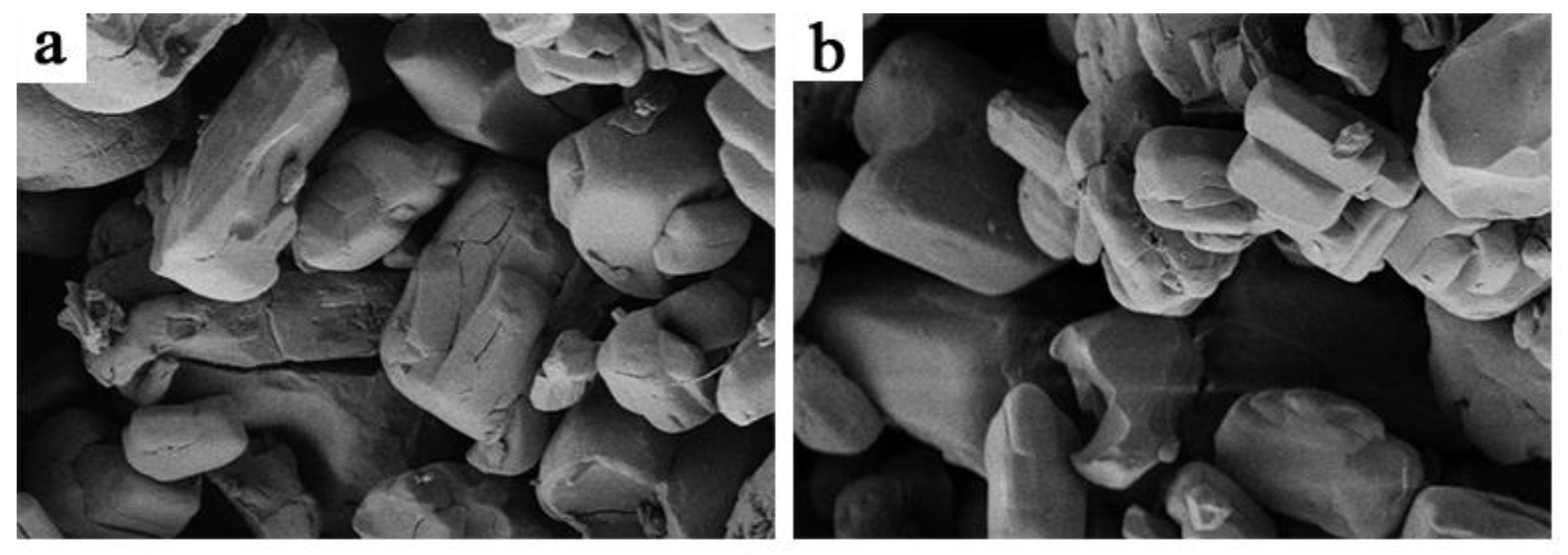 Polymers 13 00881 g004