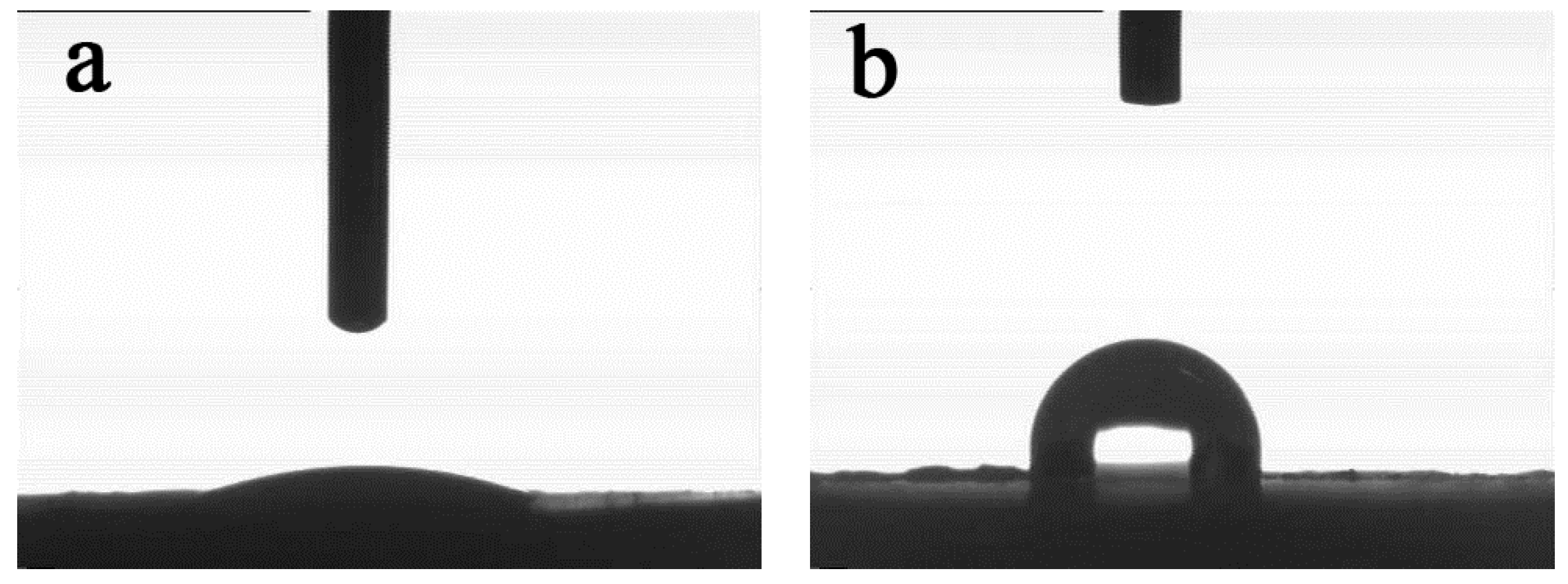 Polymers 13 00881 g005