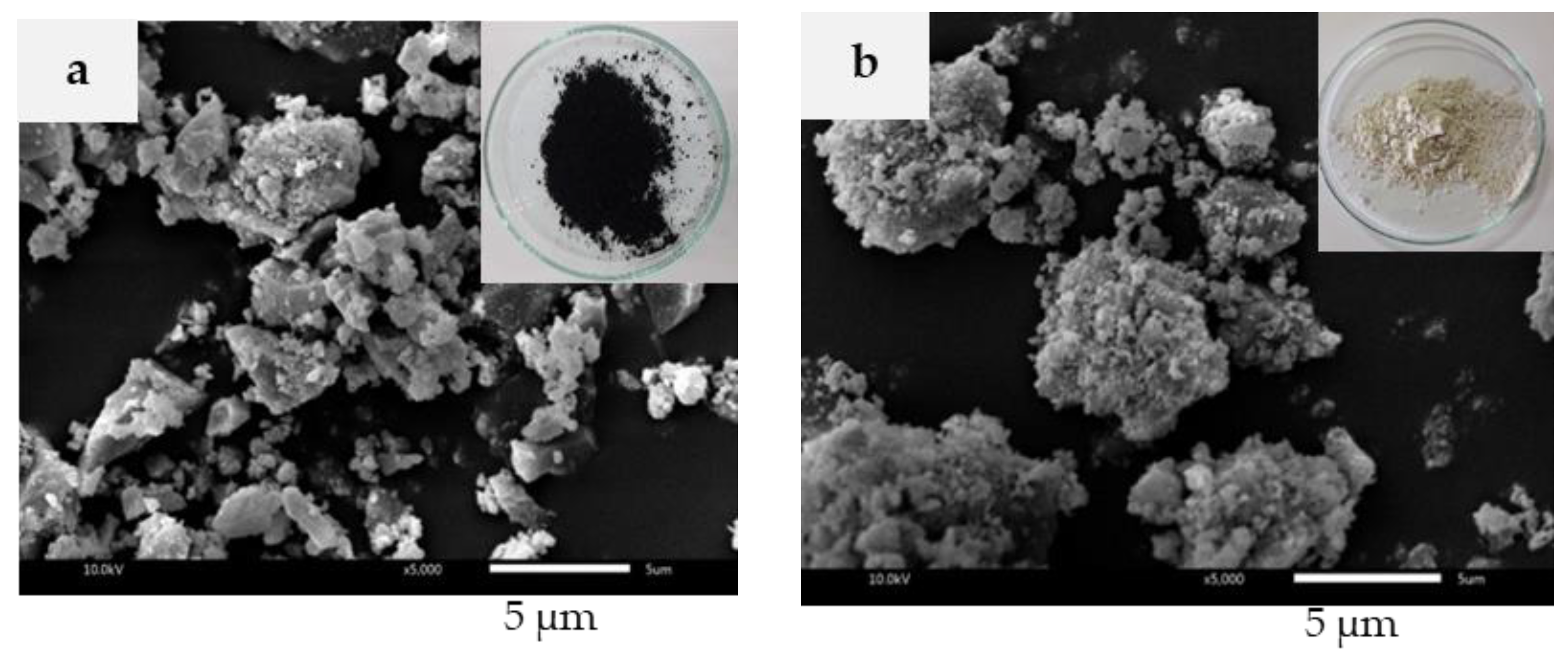 Polymers 13 00882 g001