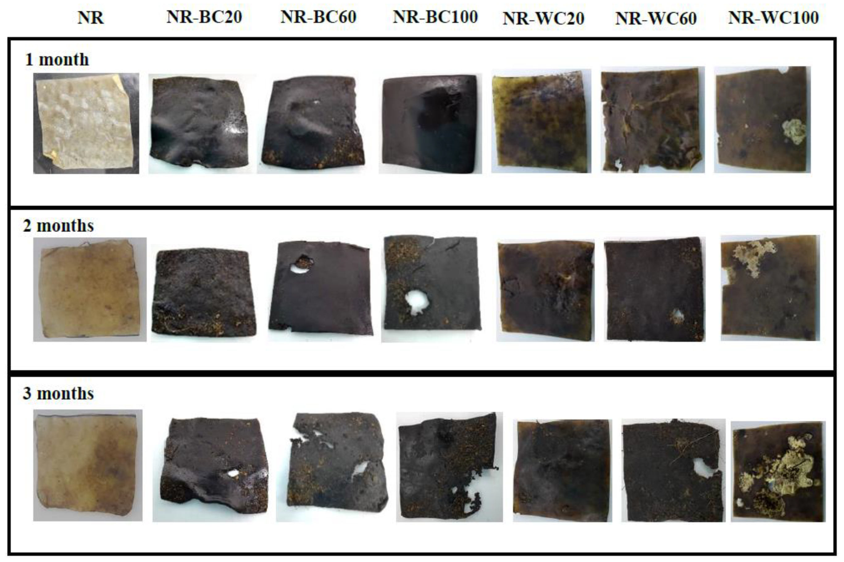 Polymers 13 00882 g011