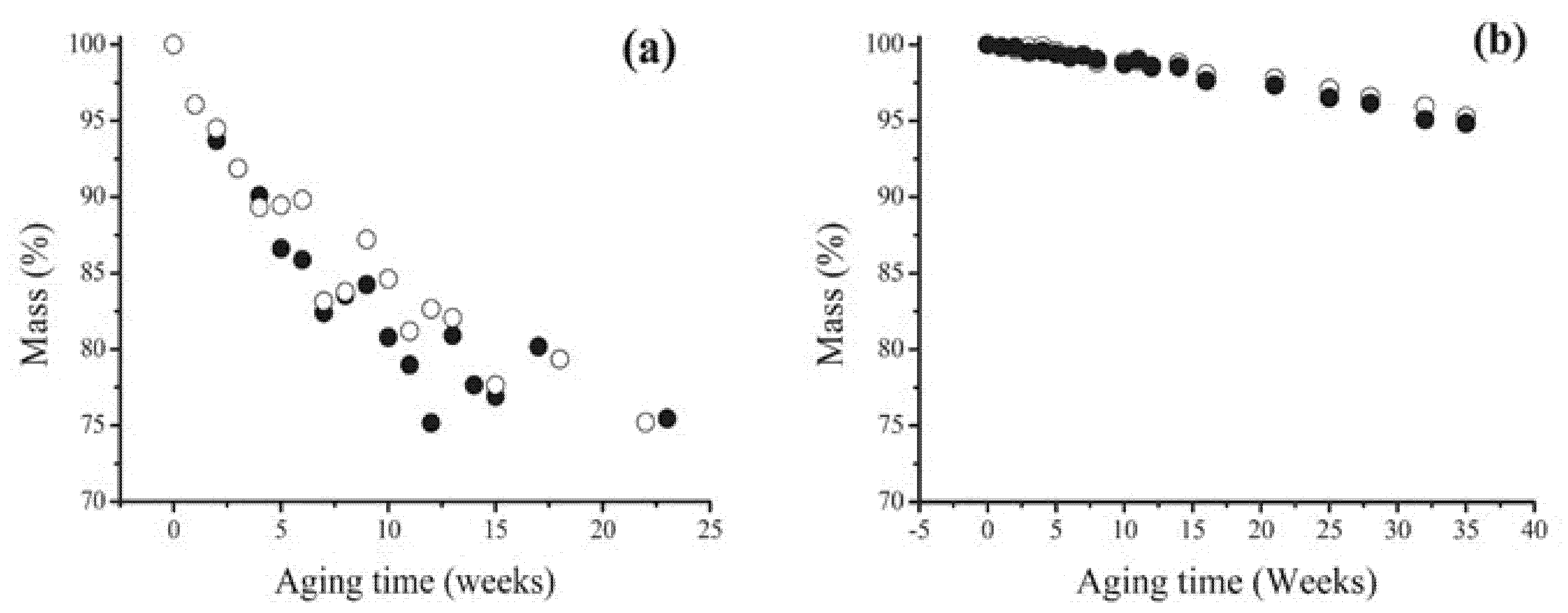 Polymers 13 00883 g003