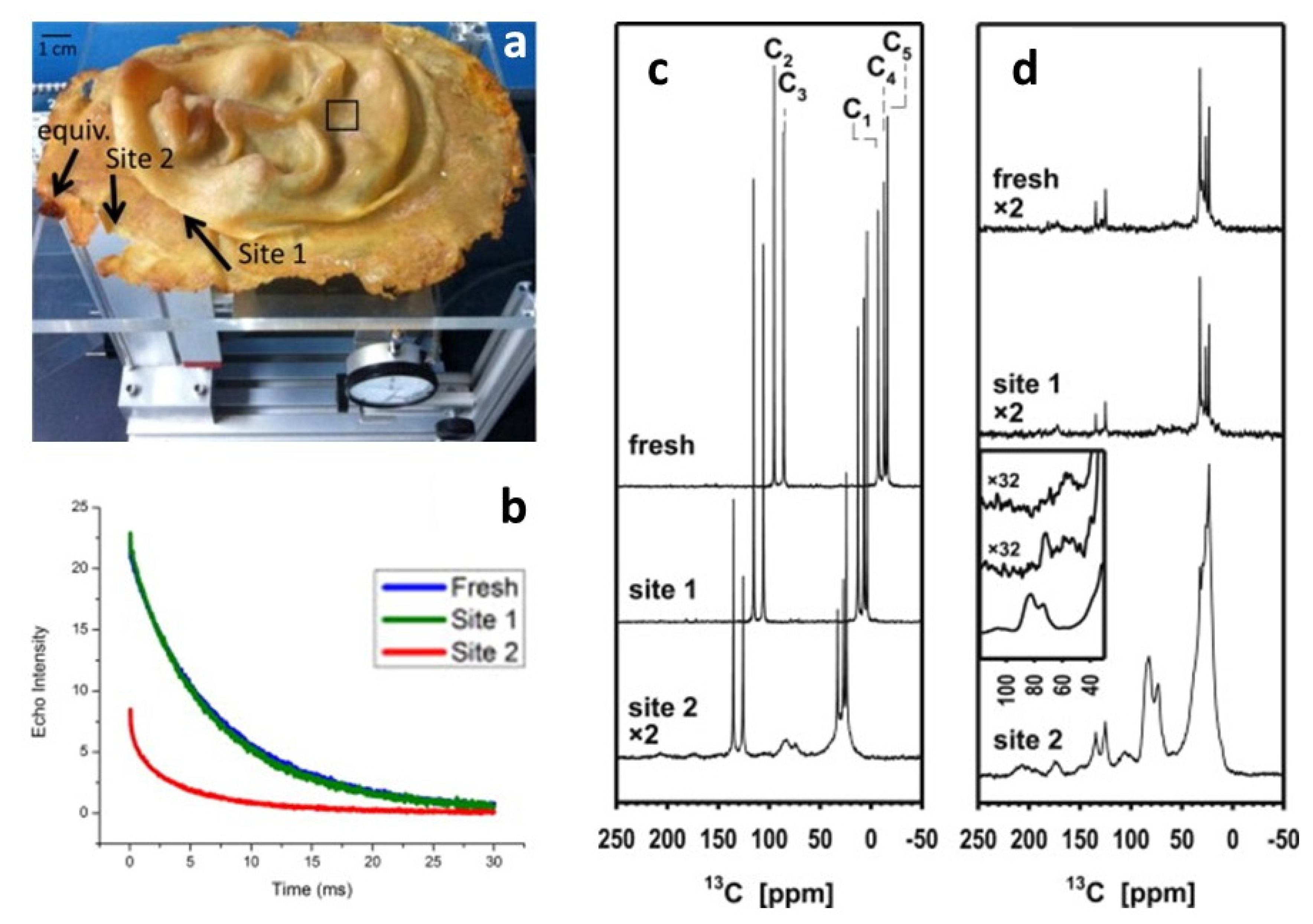 Polymers 13 00883 g008
