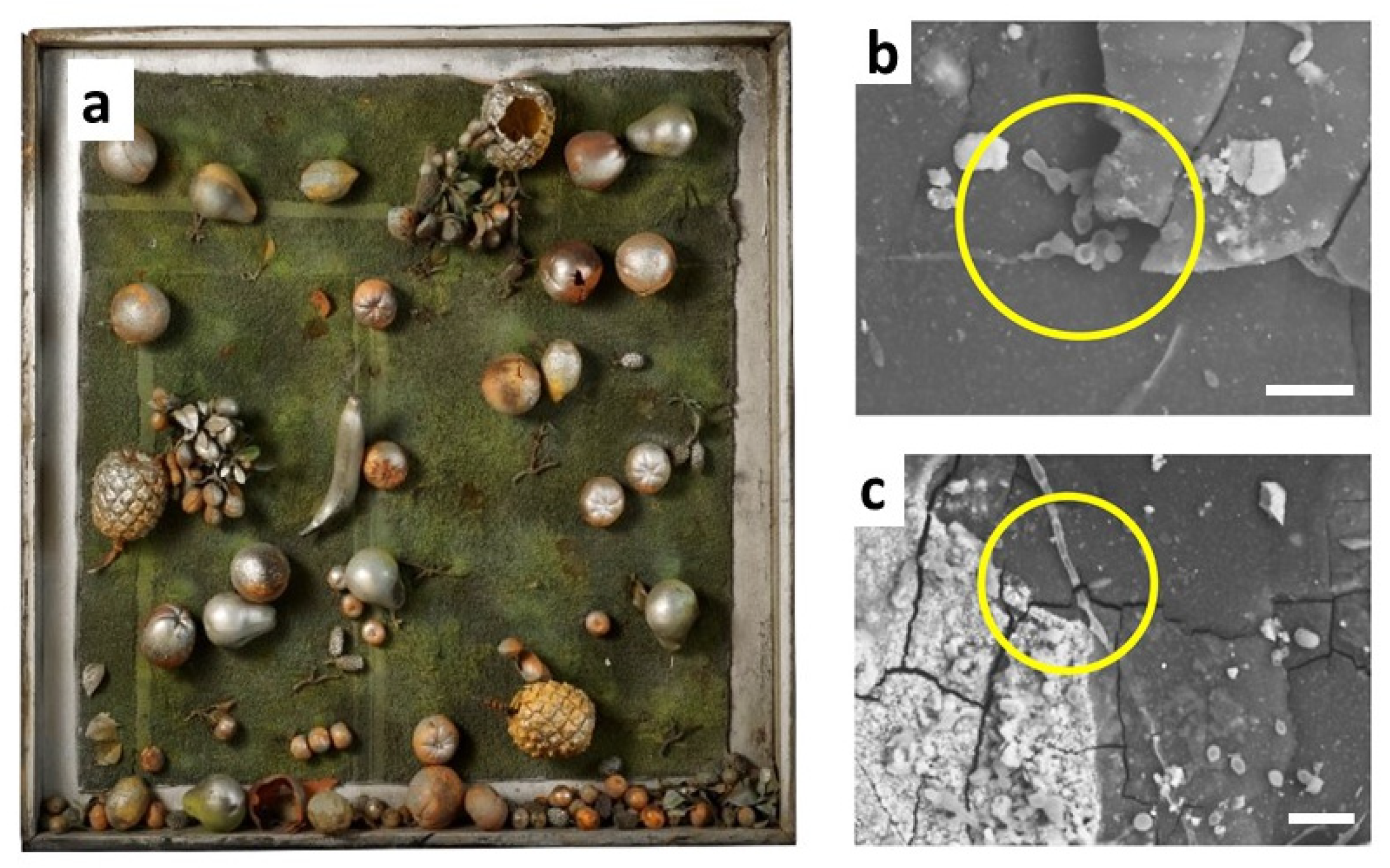 Polymers 13 00883 g009