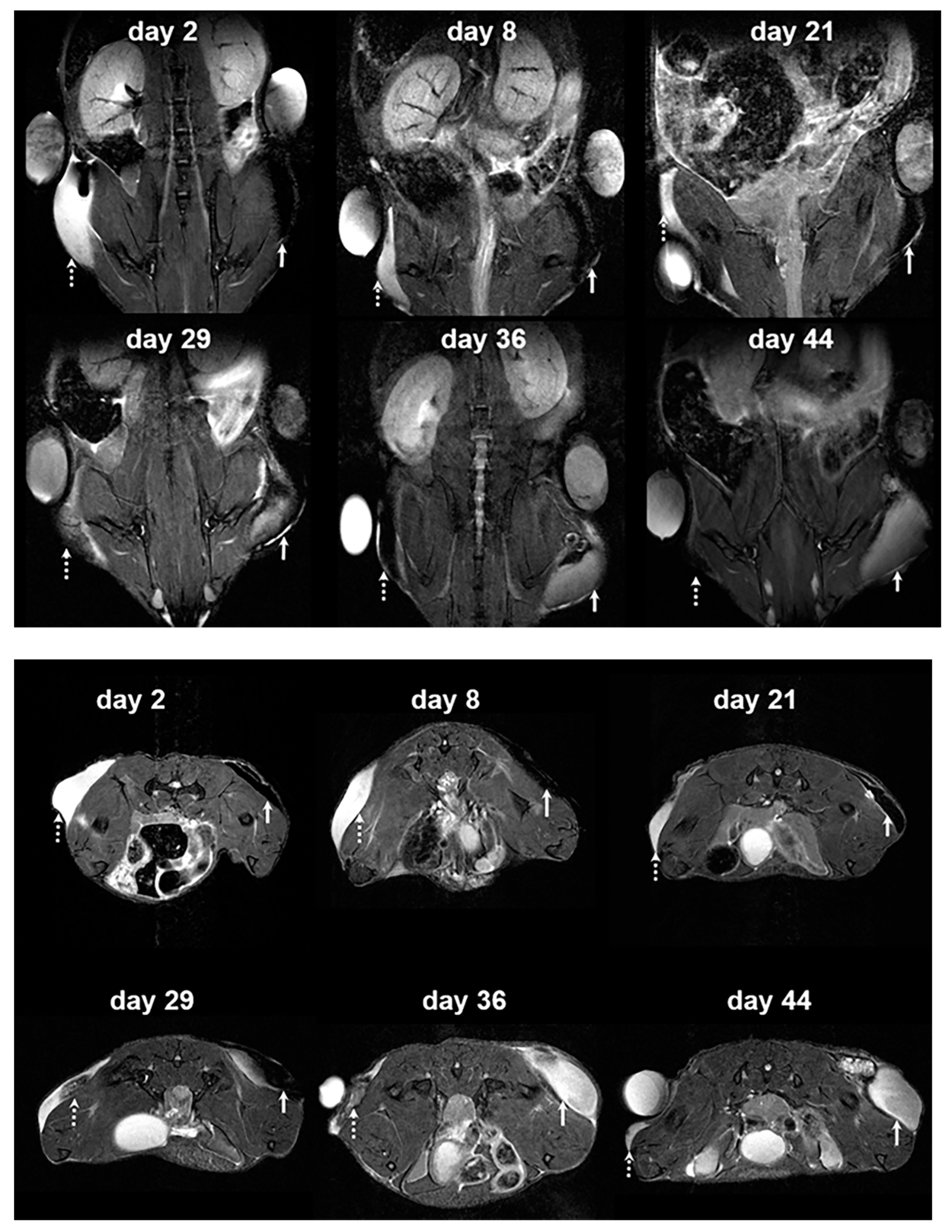 Polymers 13 00885 g003 Polymers 13 00885 g003