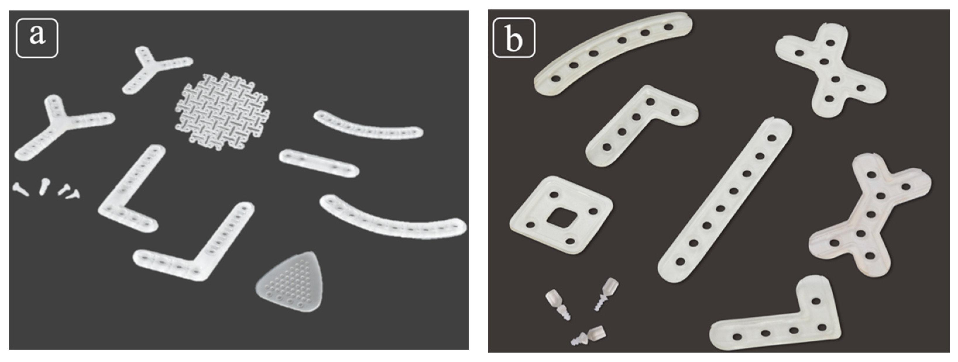 Polymers 13 00889 g001