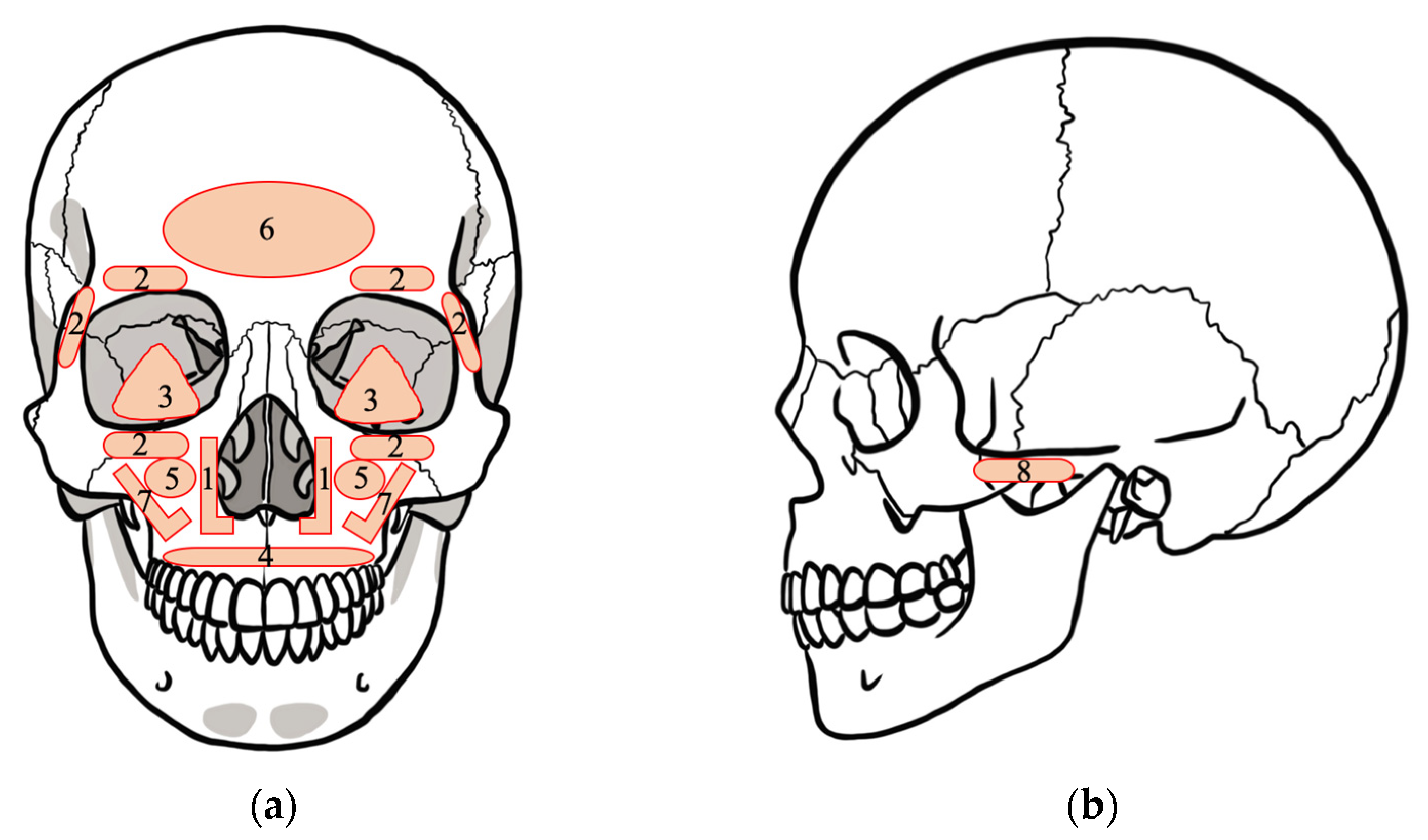 Polymers 13 00889 g003