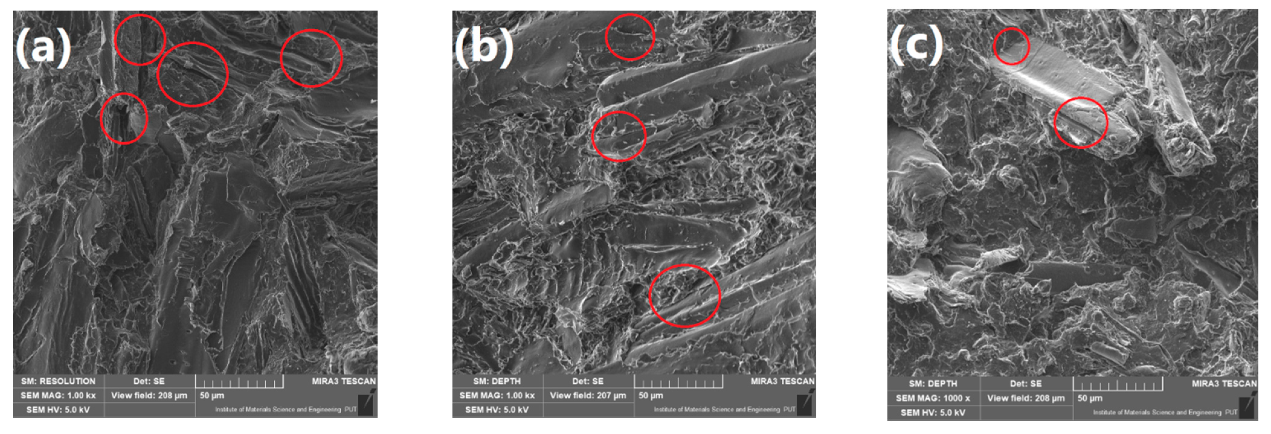 Polymers 13 00893 g004a